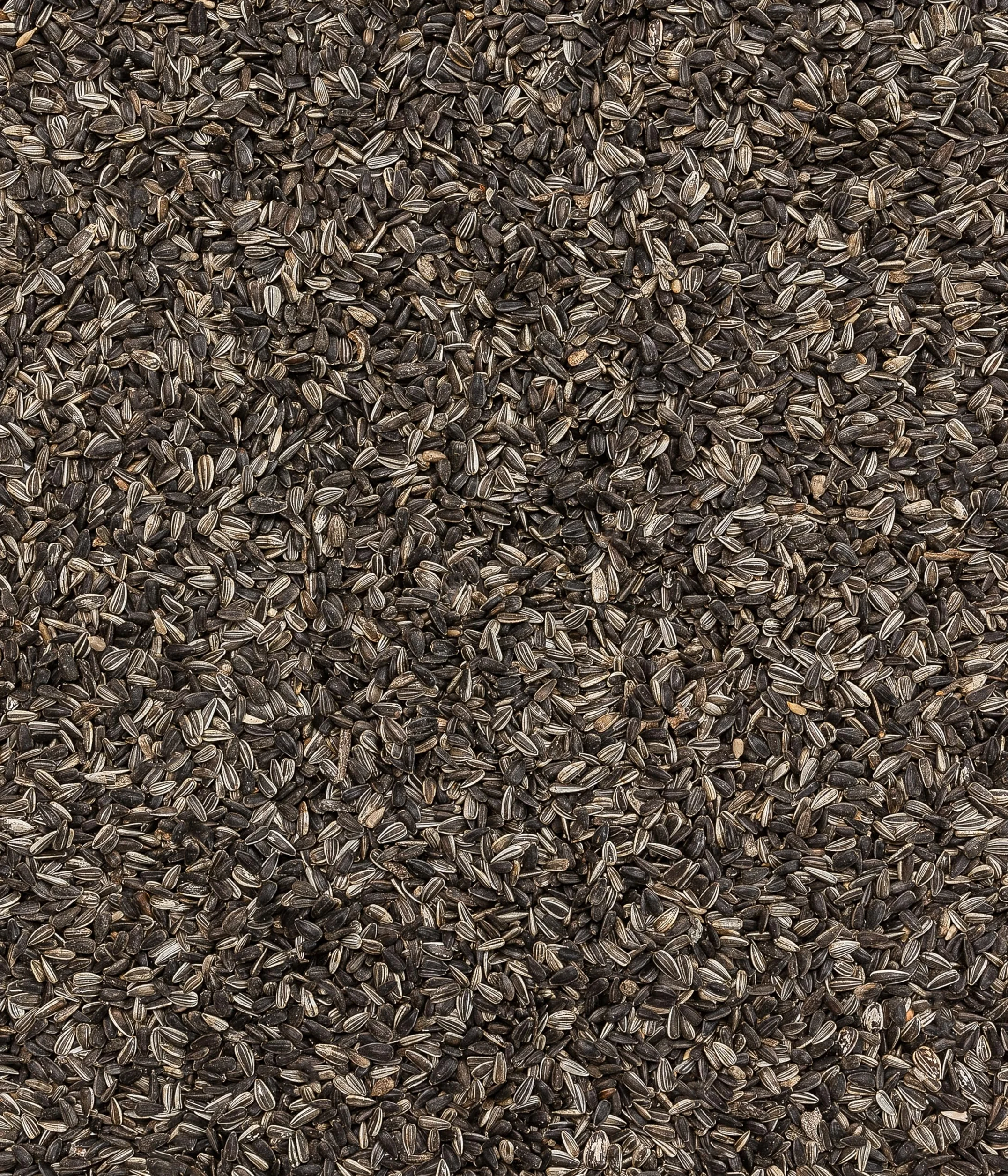 Dehner Natura Alpiste para Aves Silvestres Pipas de Girasol 5 l 2,2 kg