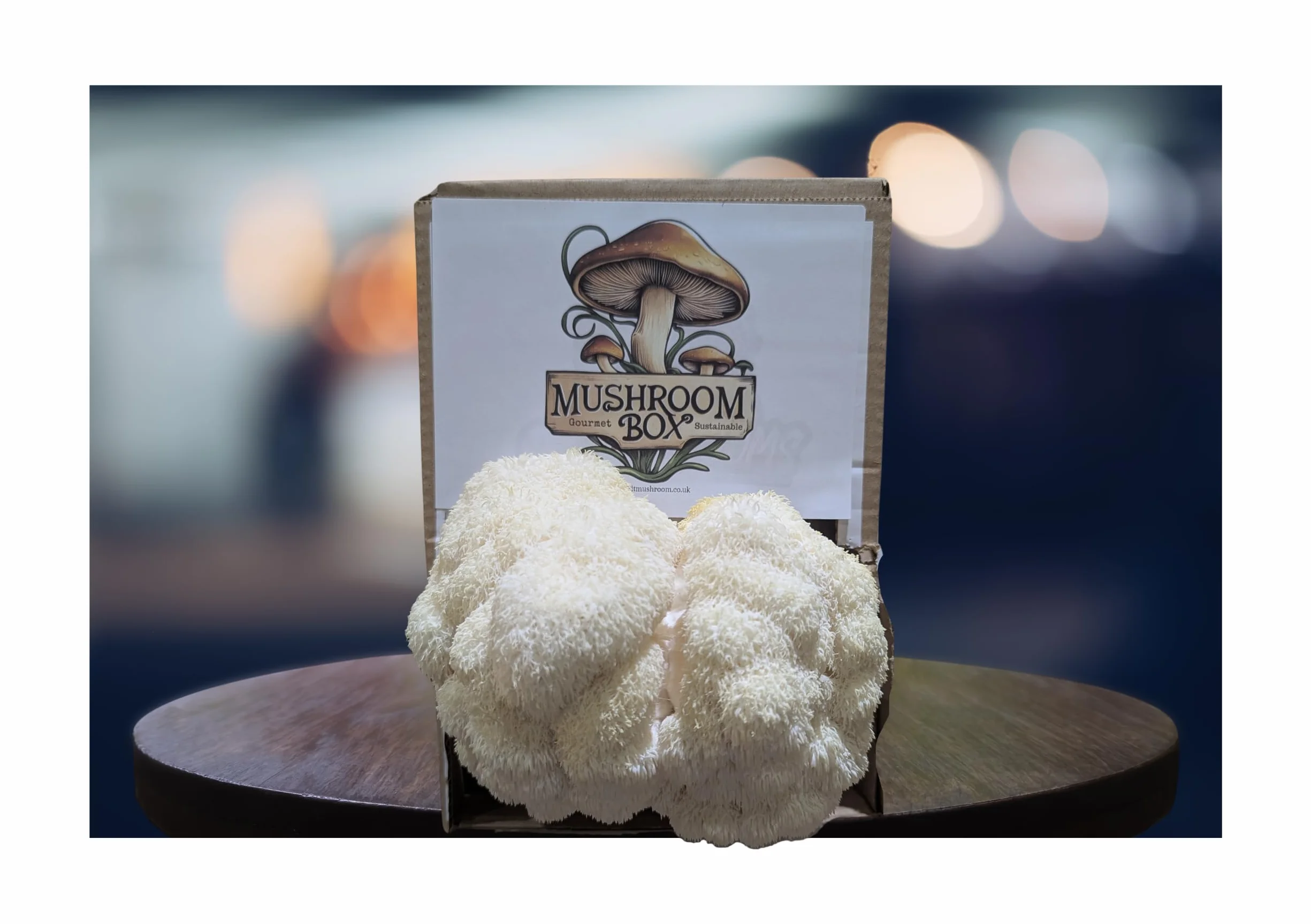 Nutrition Geeks Kit de cultivo de setas Lion's Mane Hericium erinaceus 1,8 kg