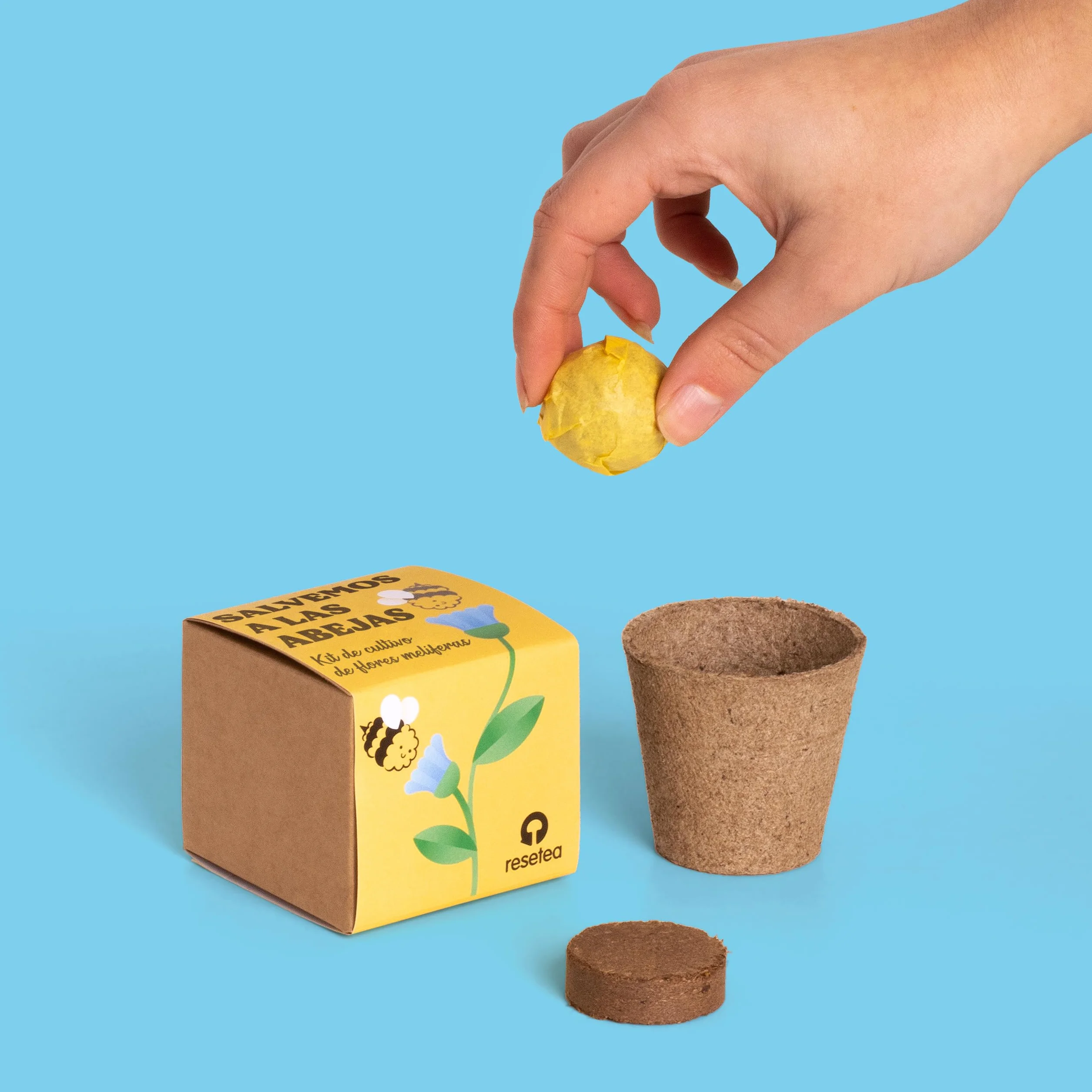 Kit de Cultivo de Flores Melíferas Bomba de Semillas para Polinizadores Regalo Educativo