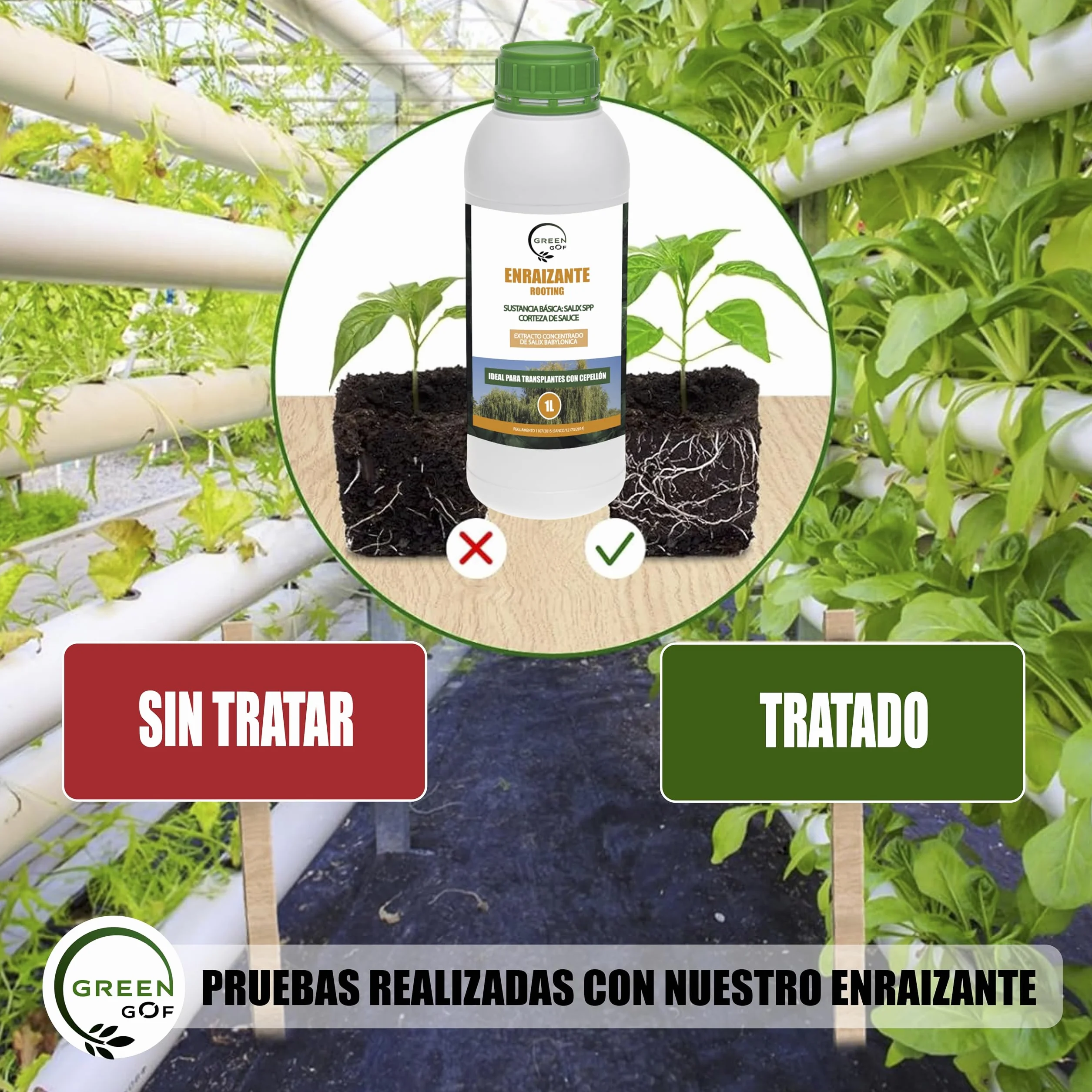 GREENGOF Enraizante Líquido 1L Orgánico con Hormonas Naturales