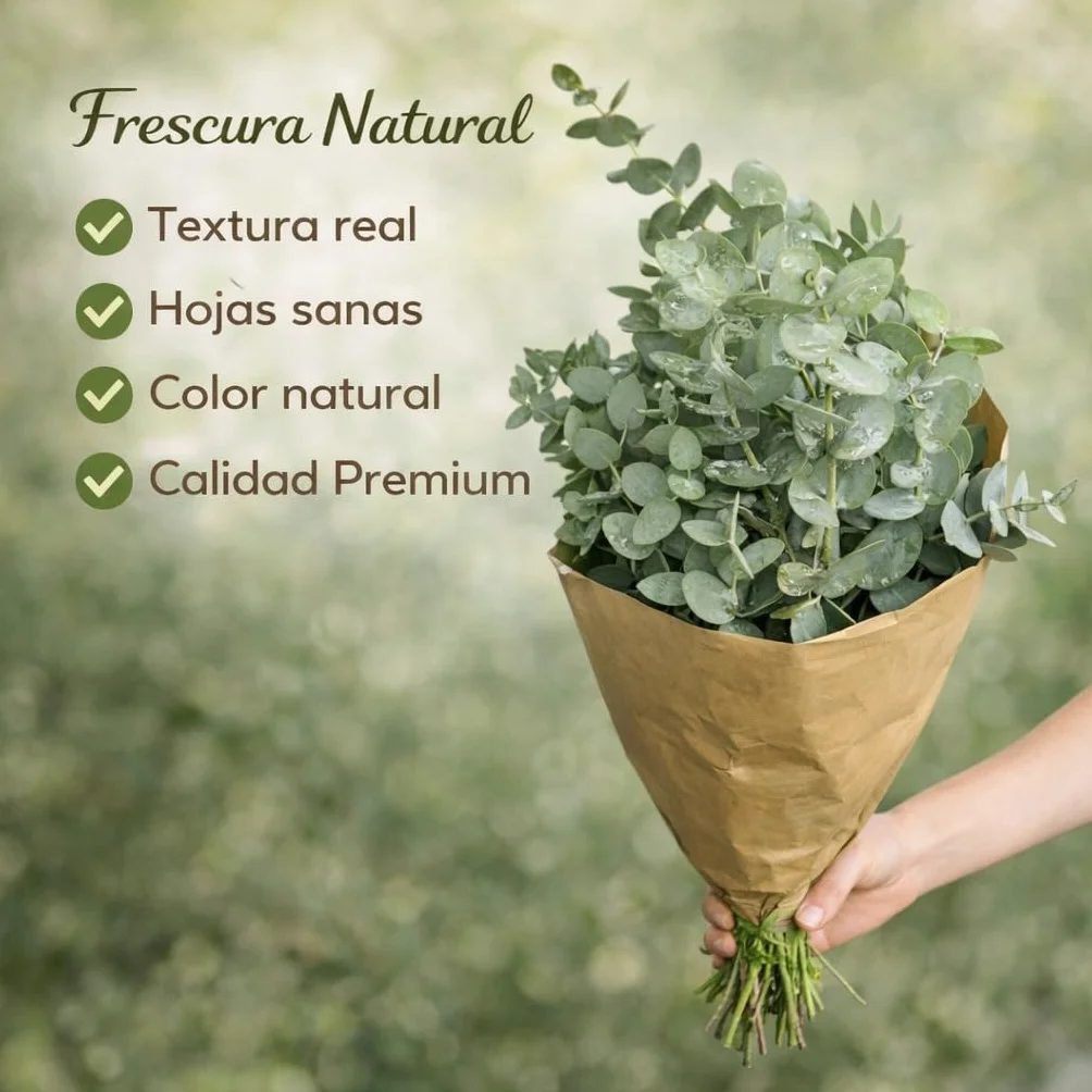 Ramo de Eucalipto Natural para Ducha y Decoración - Hojas Naturales Aromáticas