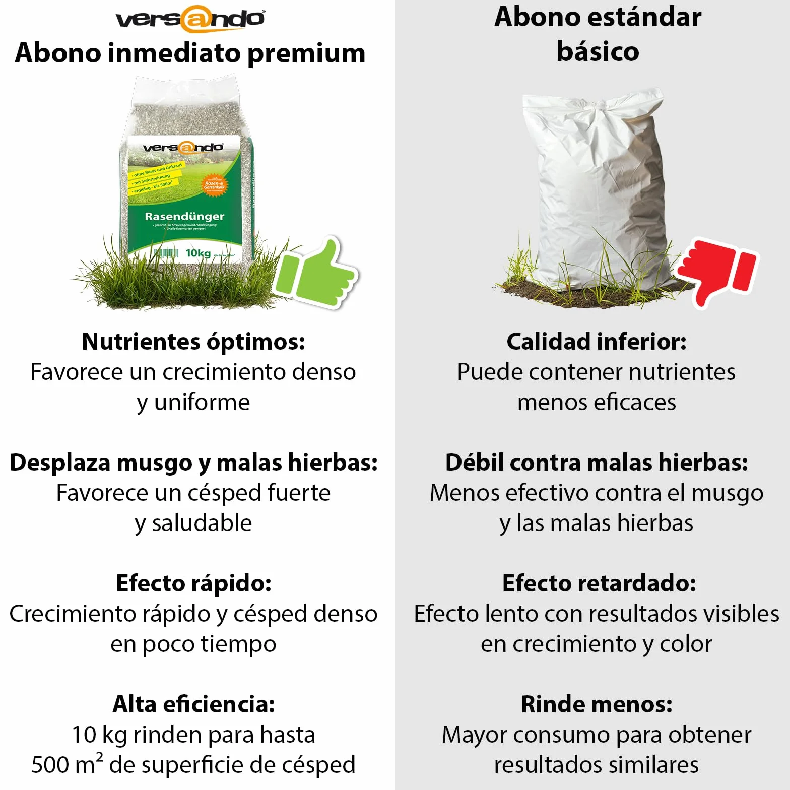 Versando Abono para Césped Verano 5kg 250m² Desplaza Musgo y Malas Hierbas