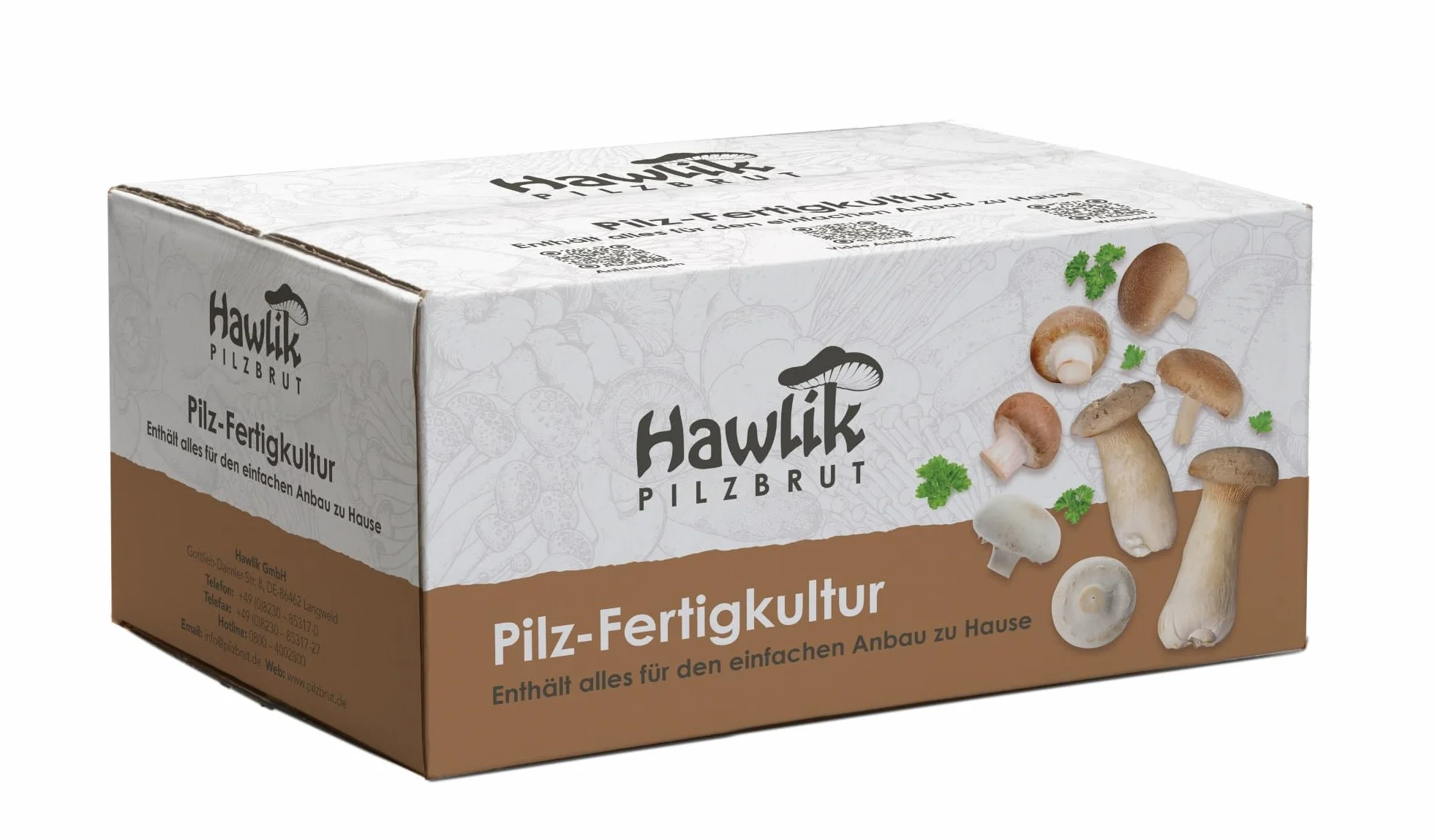 Hawlik Set de cultivo de setas de ostra - Kit pequeño para cultivar y cosechar setas frescas
