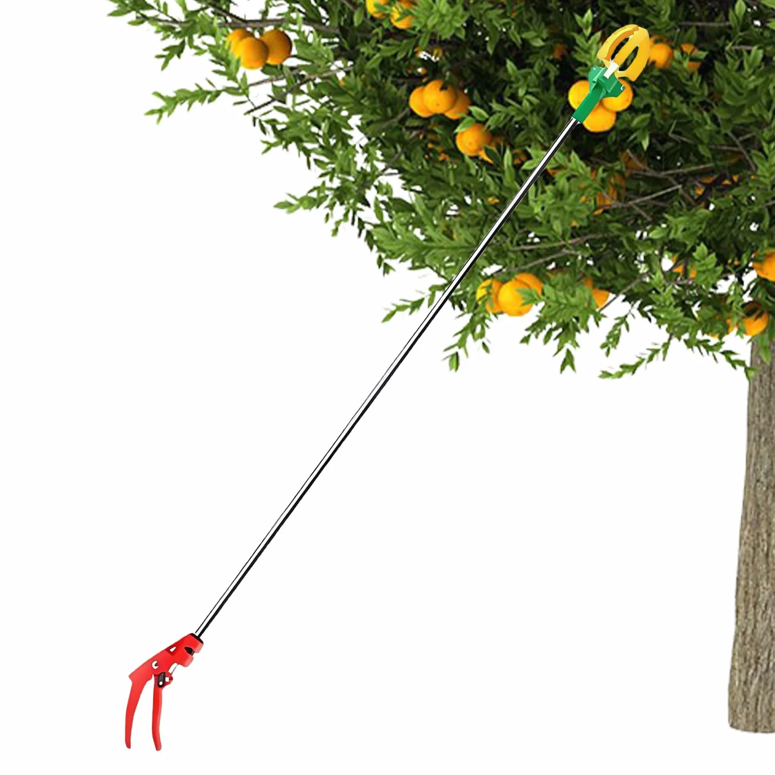 Recogedor de frutas para árboles, recogedor de frutas extensible de 3 garras, dispositivo manual ajustable para cosechar peras, aguacates, cerezas, caquis 3 metros