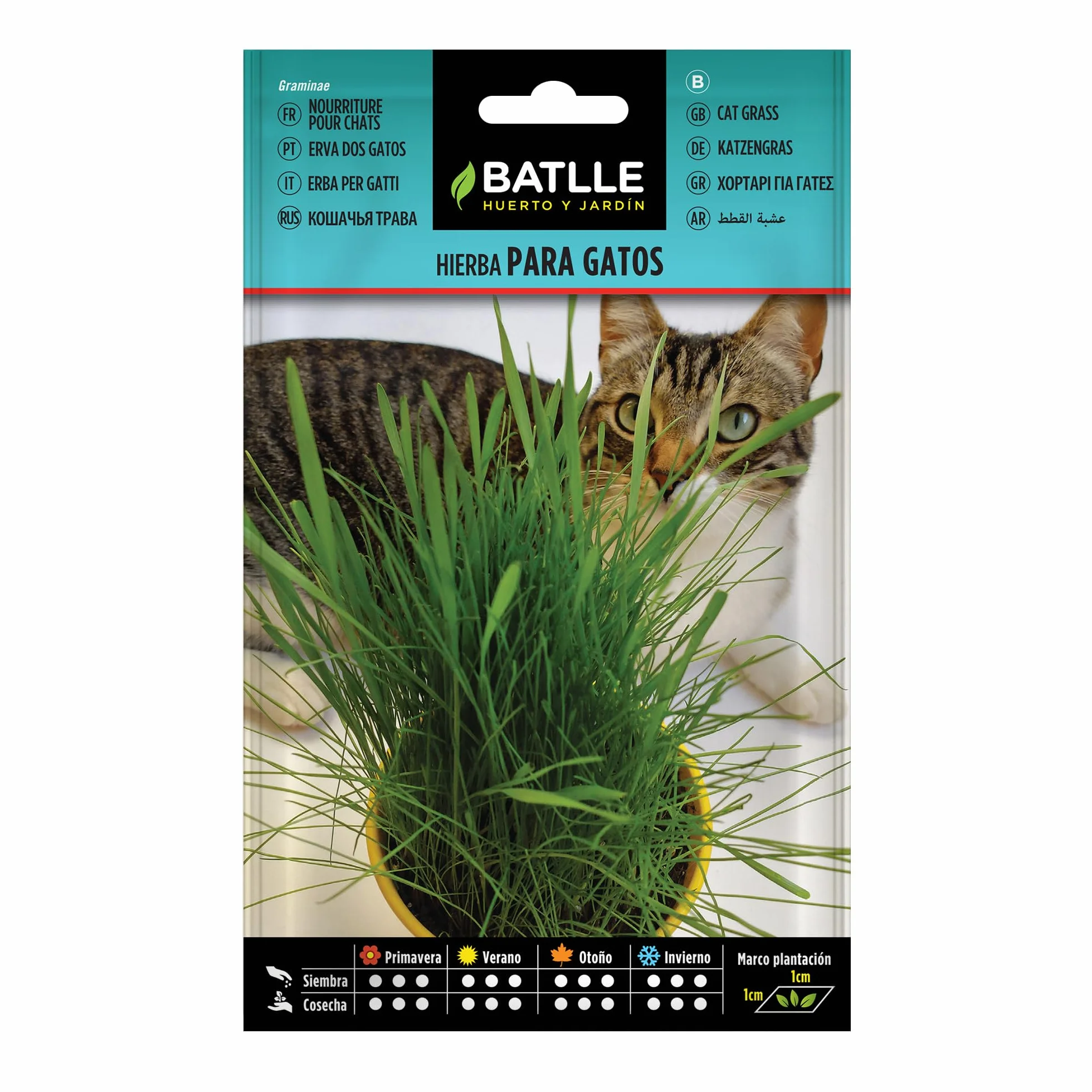 Semillas Batlle Hierba para Gatos - Graminae