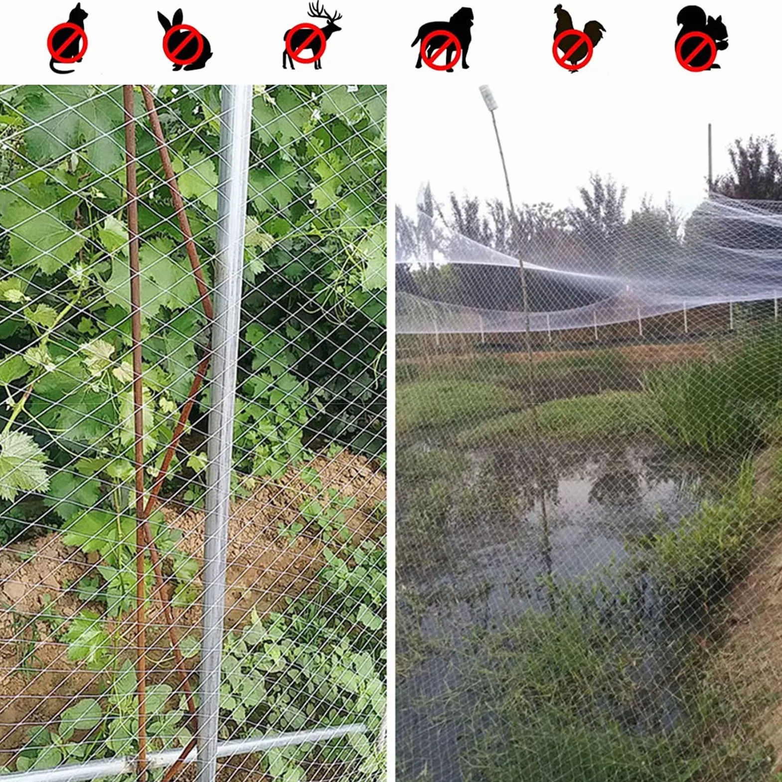 Red Antipájaros Extragrande para Árboles Frutales, Rollo De Malla De Plástico Resistente para Jardín, Color, para Uvas, Fresas Y Arándanos, Cerca para Gallineros En Exteriores (5 X 10 M/16,4 X