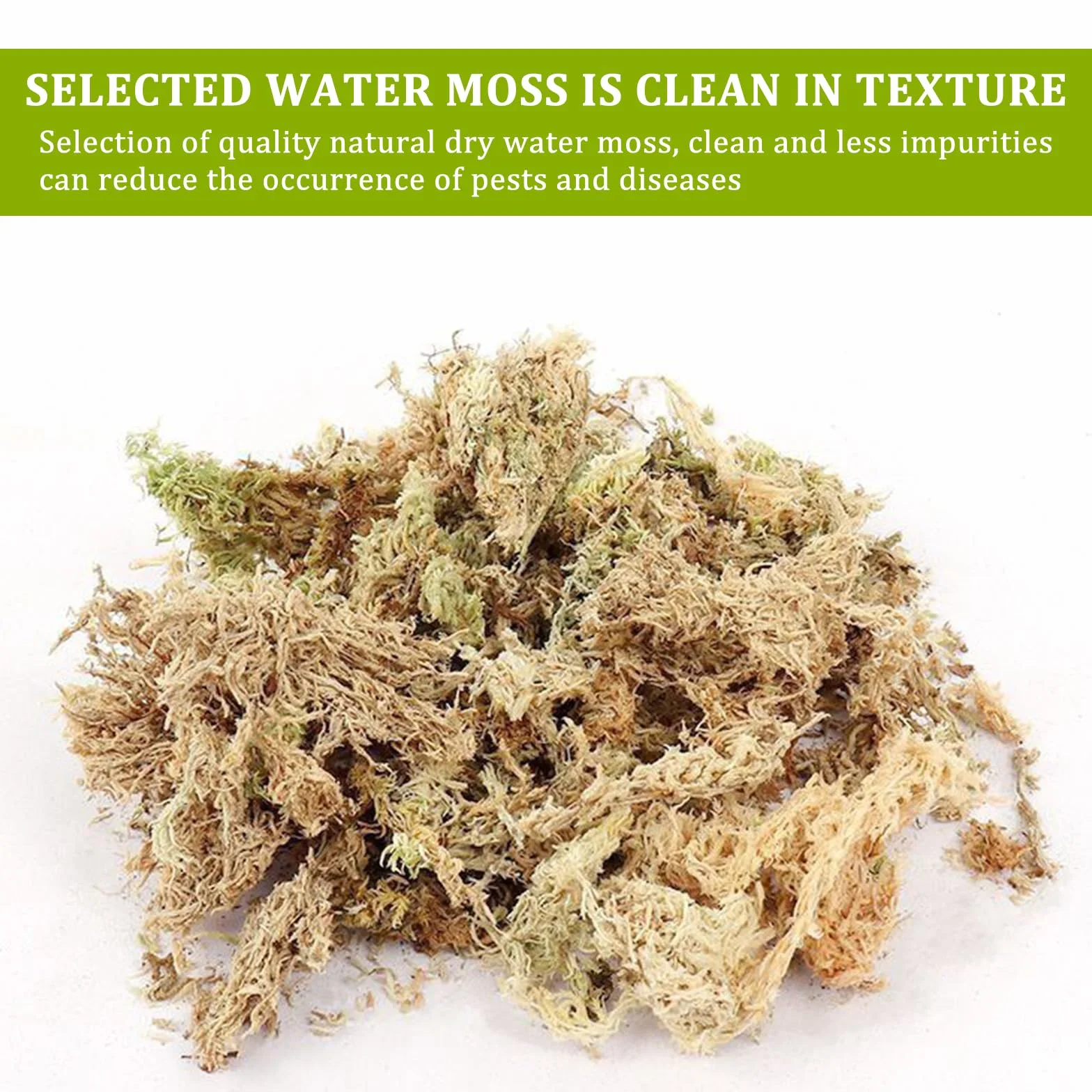 Musgo Sphagnum Natural 190g para Orquídeas Phalaenopsis Plantas Carnívoras Reptiles