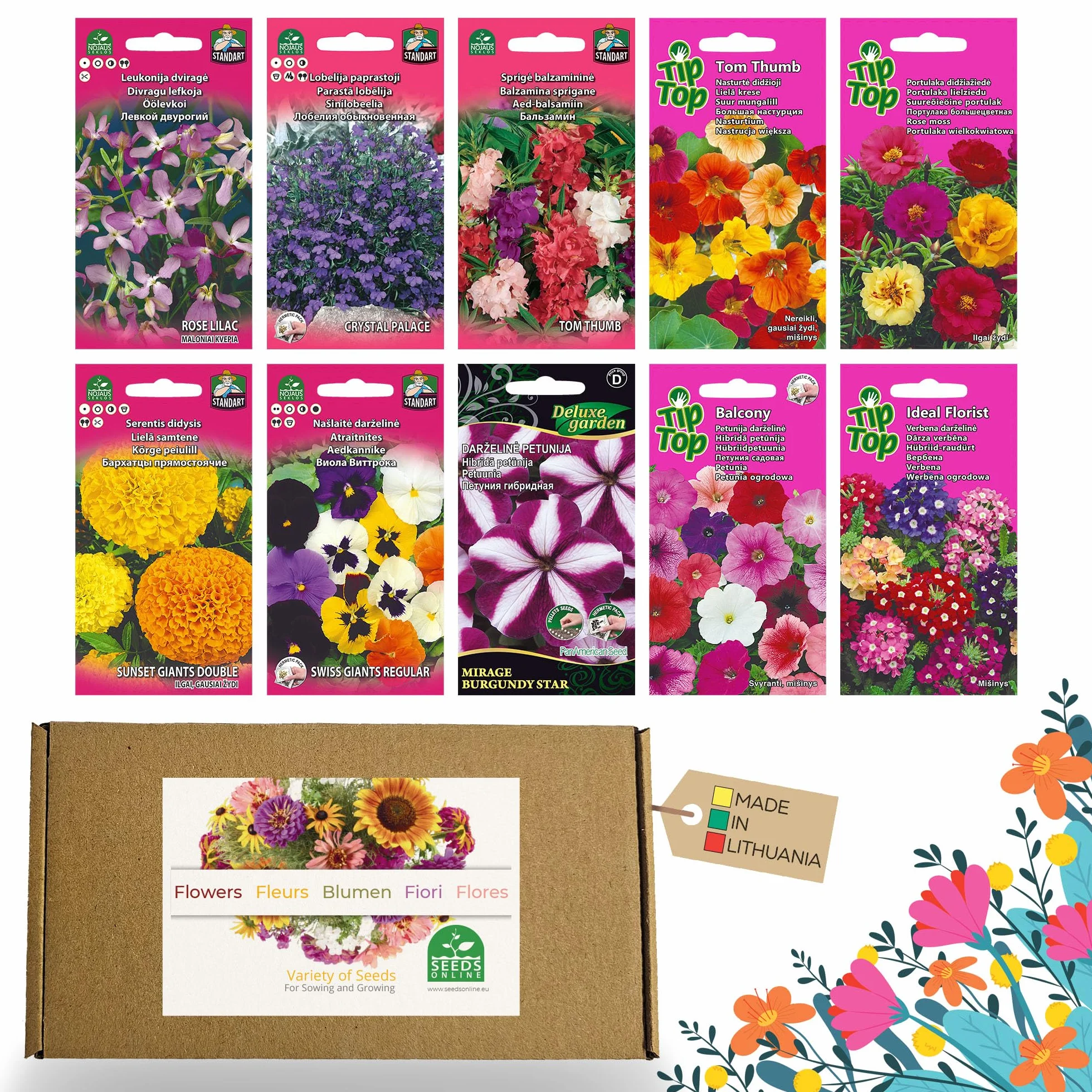 Nojus Juego de semillas de flores 10 variedades para balcón plantas coloridas 10 paquetes Regalo