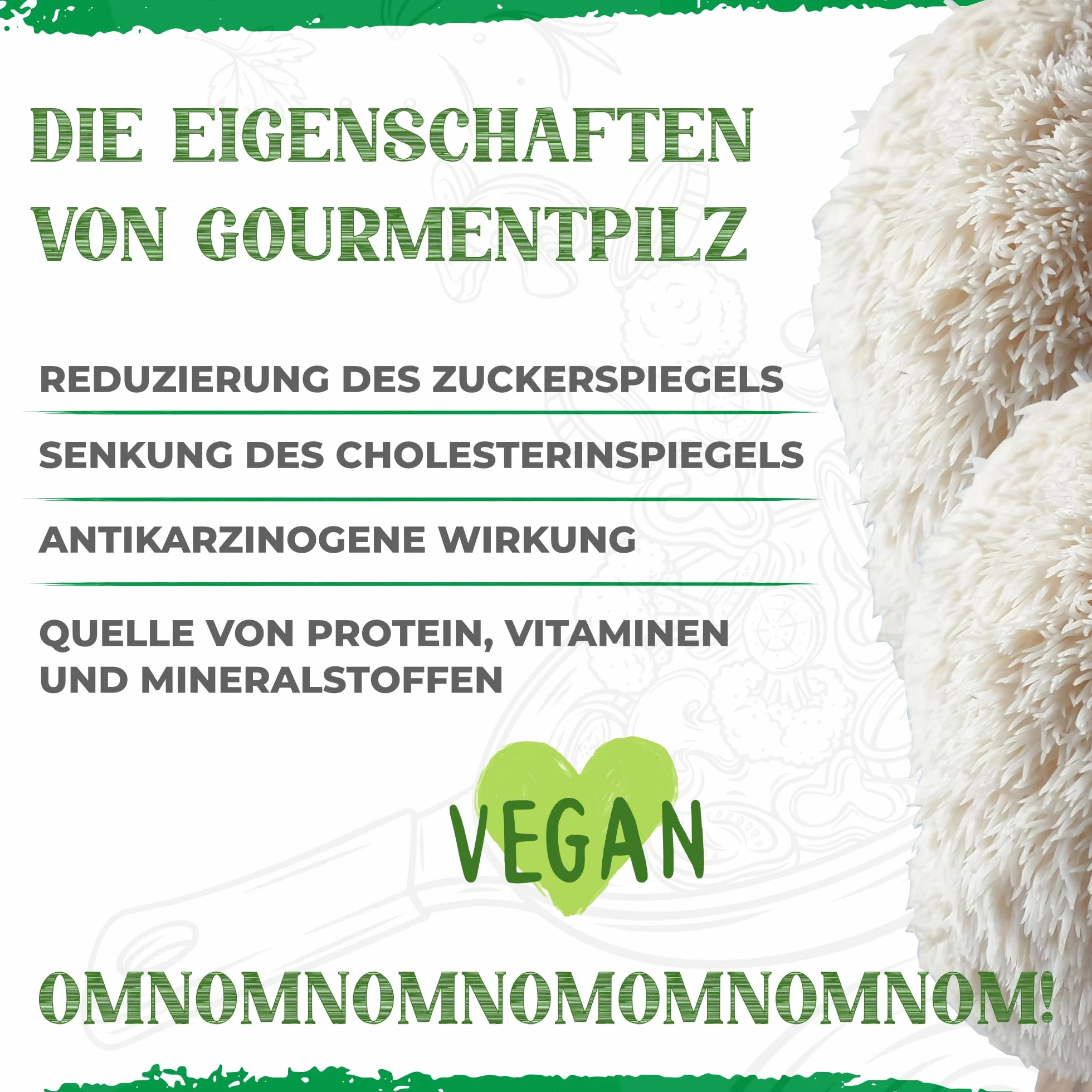 BIO Juego de cultivo de setas Grifón Hericium erinaceus ecológico para hogar