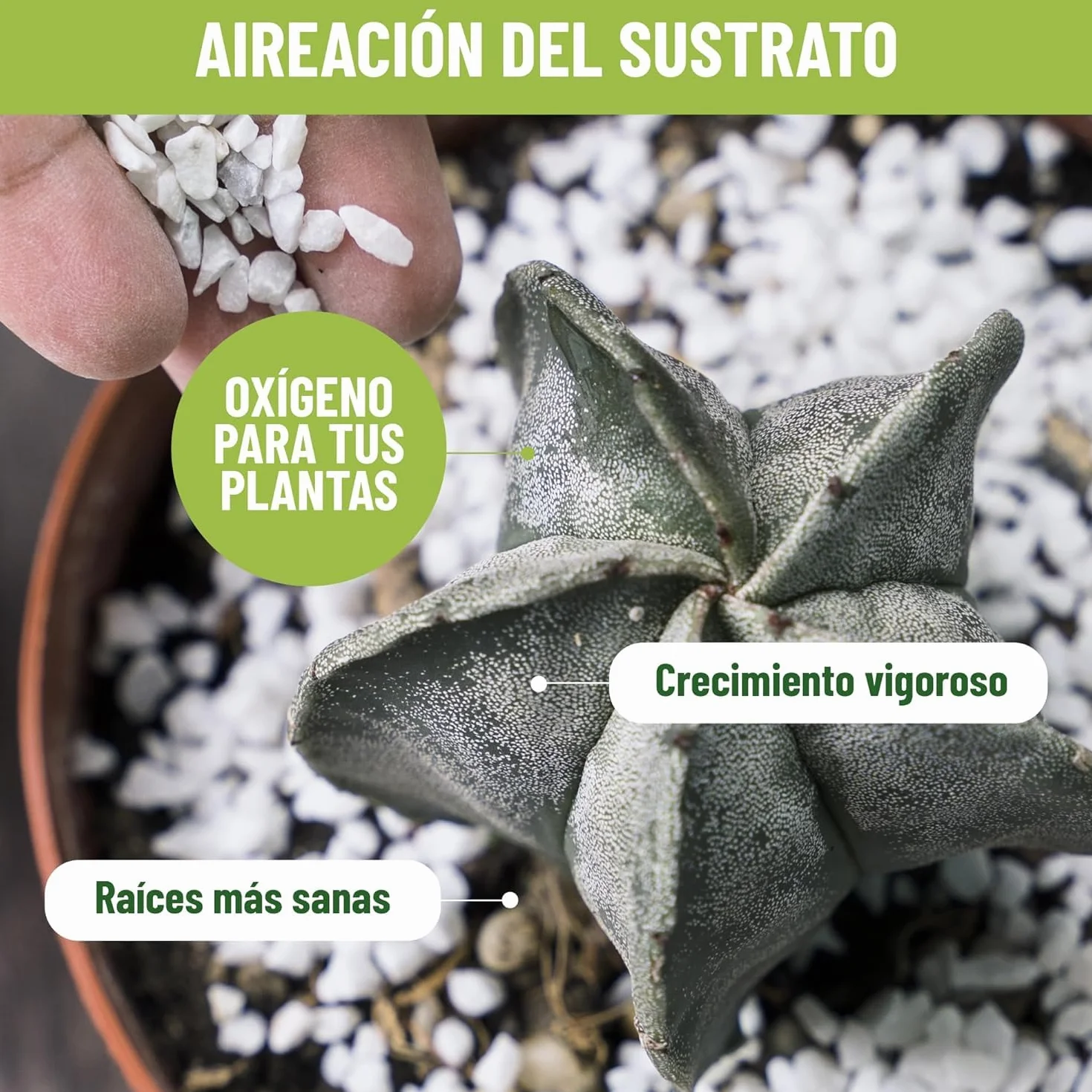 CONTROL GARDEN Arlita 10L + Perlita 10L + Vermiculita 10L Sustrato para Plantas