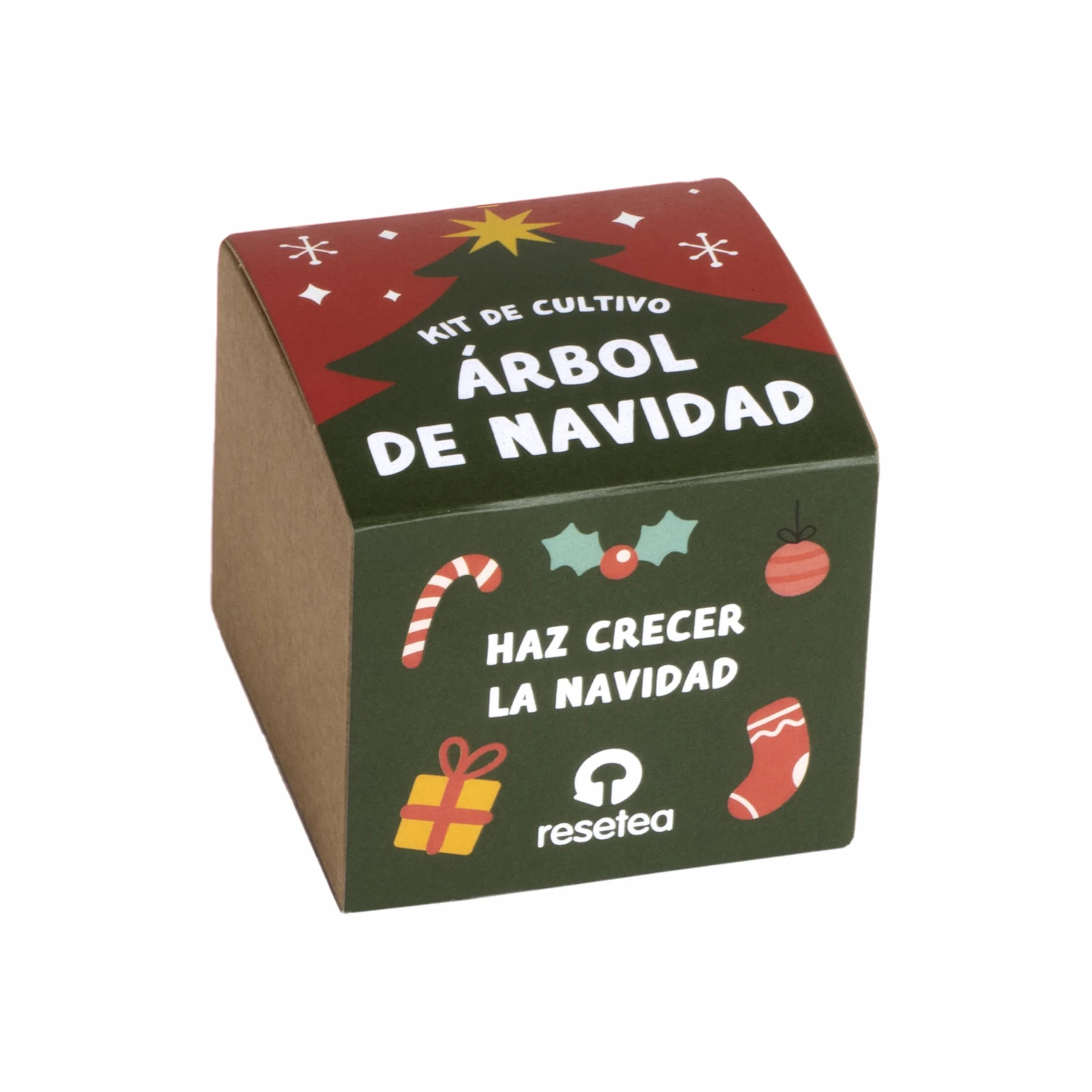 Kit Árbol de Navidad Cultiva tu Propio Árbol Navideño en Casa Regalo Natural Original