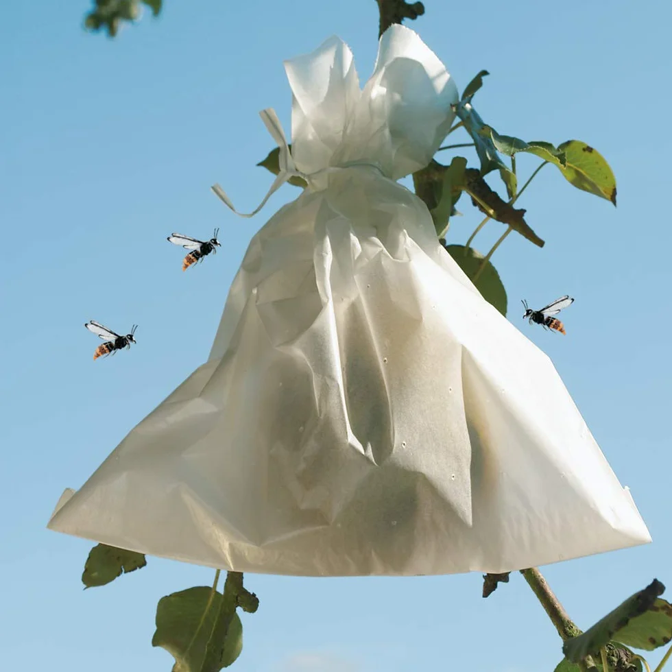 Nortene Bolsa Protector Uvas 17x22