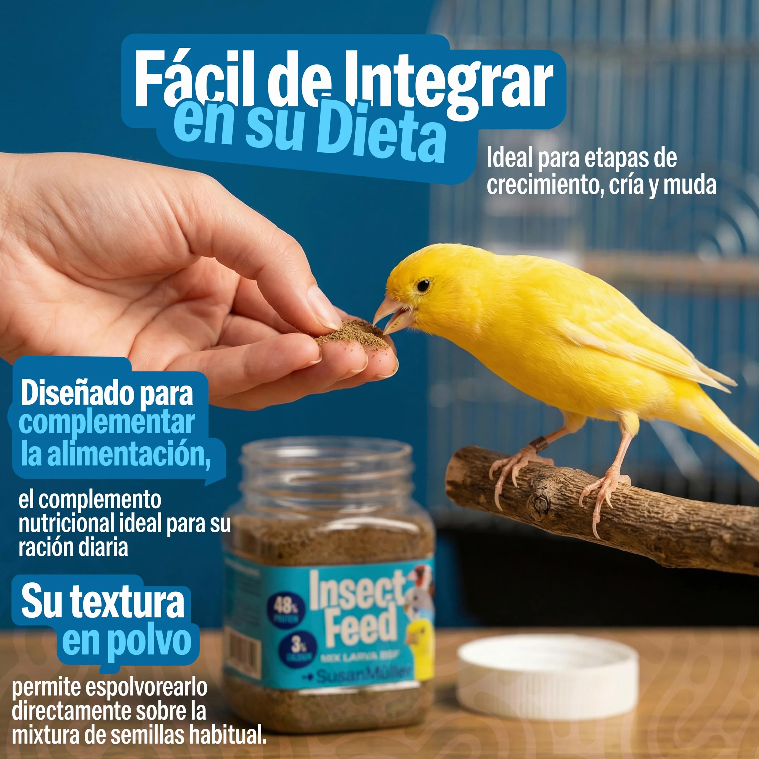 Harina de Larvas de Mosca Soldado Negra para Pájaros – Snack Natural Rico en Proteína y Calcio