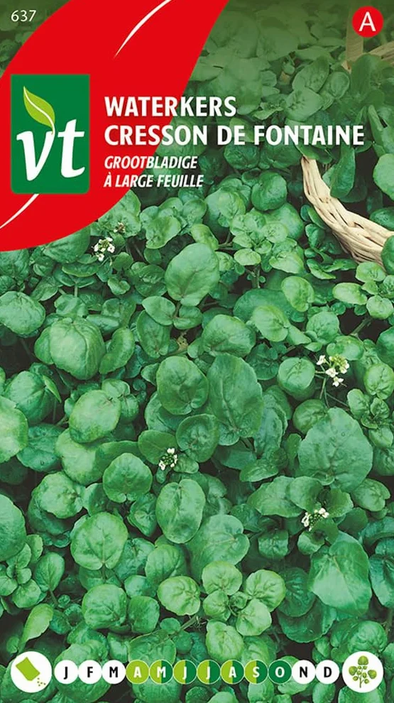 Semillas de berro de agua de hoja ancha - Planta acuática verdadera