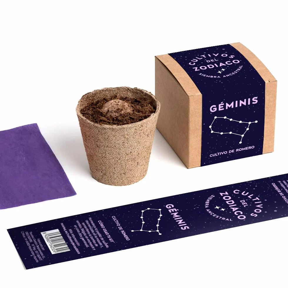 Cultivos del Zodiaco Géminis Semillas de Romero Kit de cultivo con bomba de semillas sustrato y maceta Regalo original horóscopo