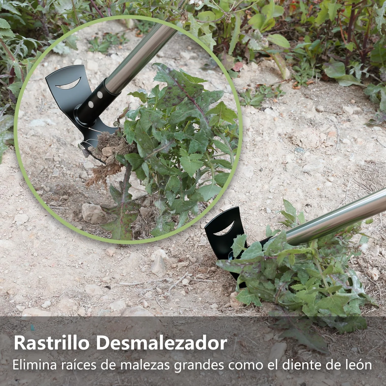 Mitclear Extractor de Malezas Mango Largo 148cm 2 en 1 Rastrillo Azada Desmalezador Manual