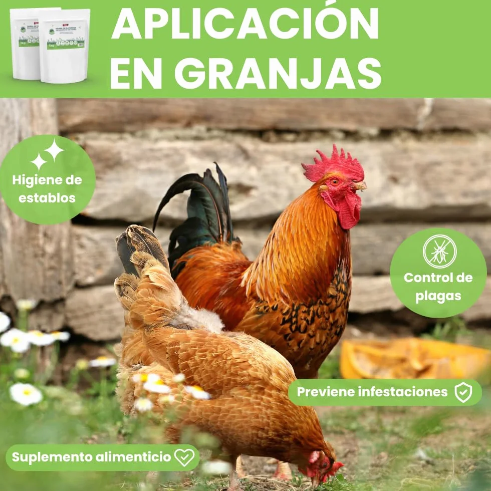 Remi Hogar Tierra de Diatomeas Micronizada 1 kg Ecológico Ultrafina para Huerto Jardín