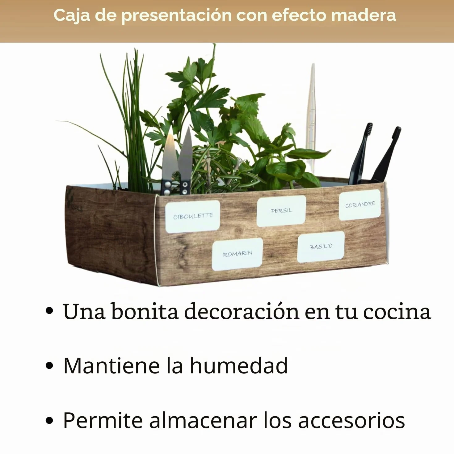 NOPALIA® Kit Hierbas Aromáticas Macetas Biodegradables Tijeras Accesorios Huerto Urbano Interior