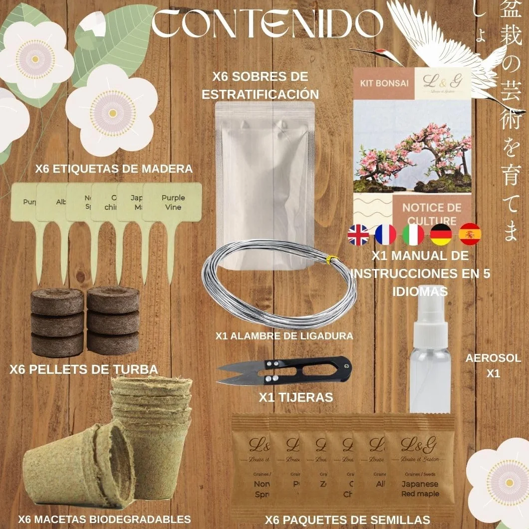 Kit Bonsái Completo para Cultivar 6 Semillas Naturales Jardinería Interior