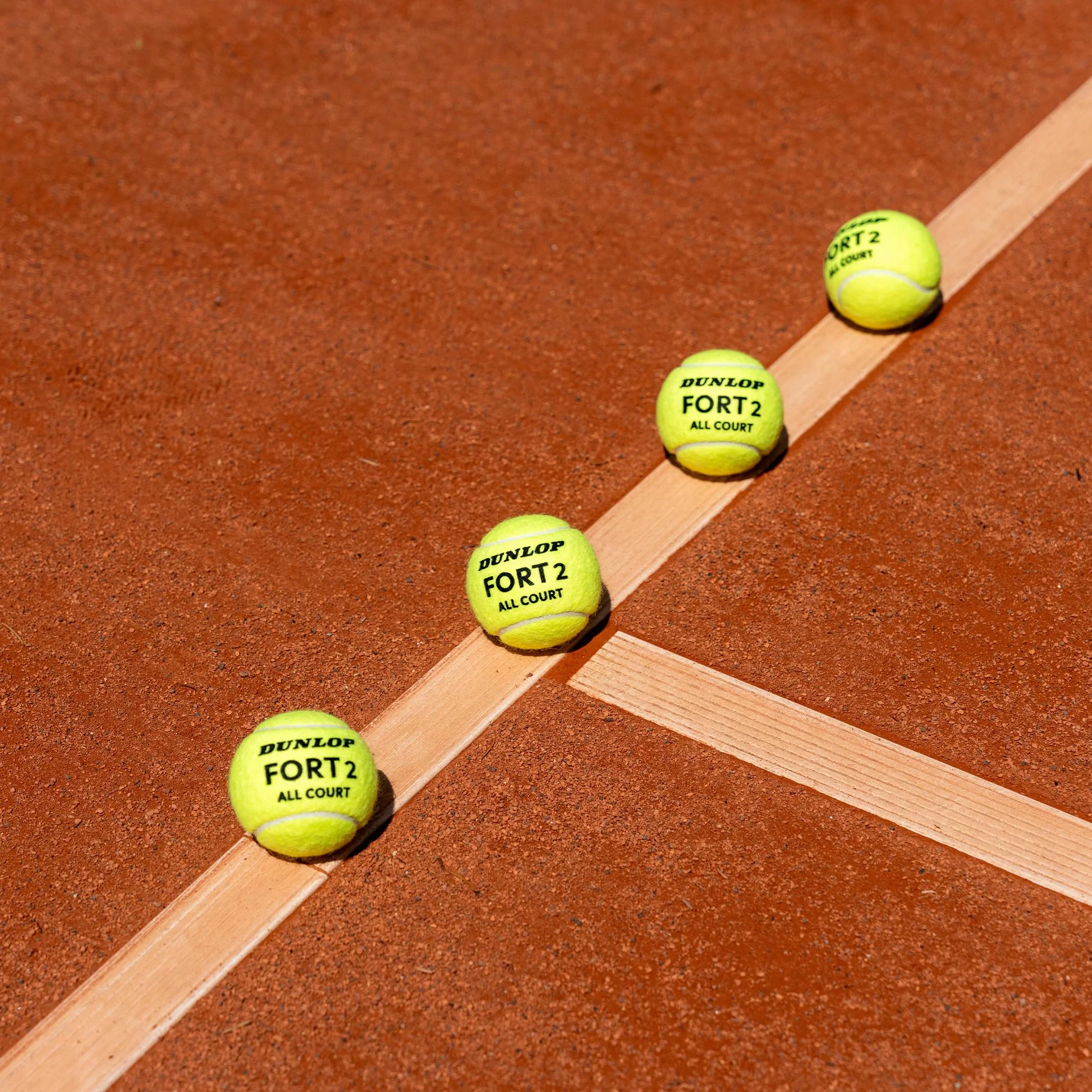 DUNLOP Pelota de Tenis Fort All Court TS