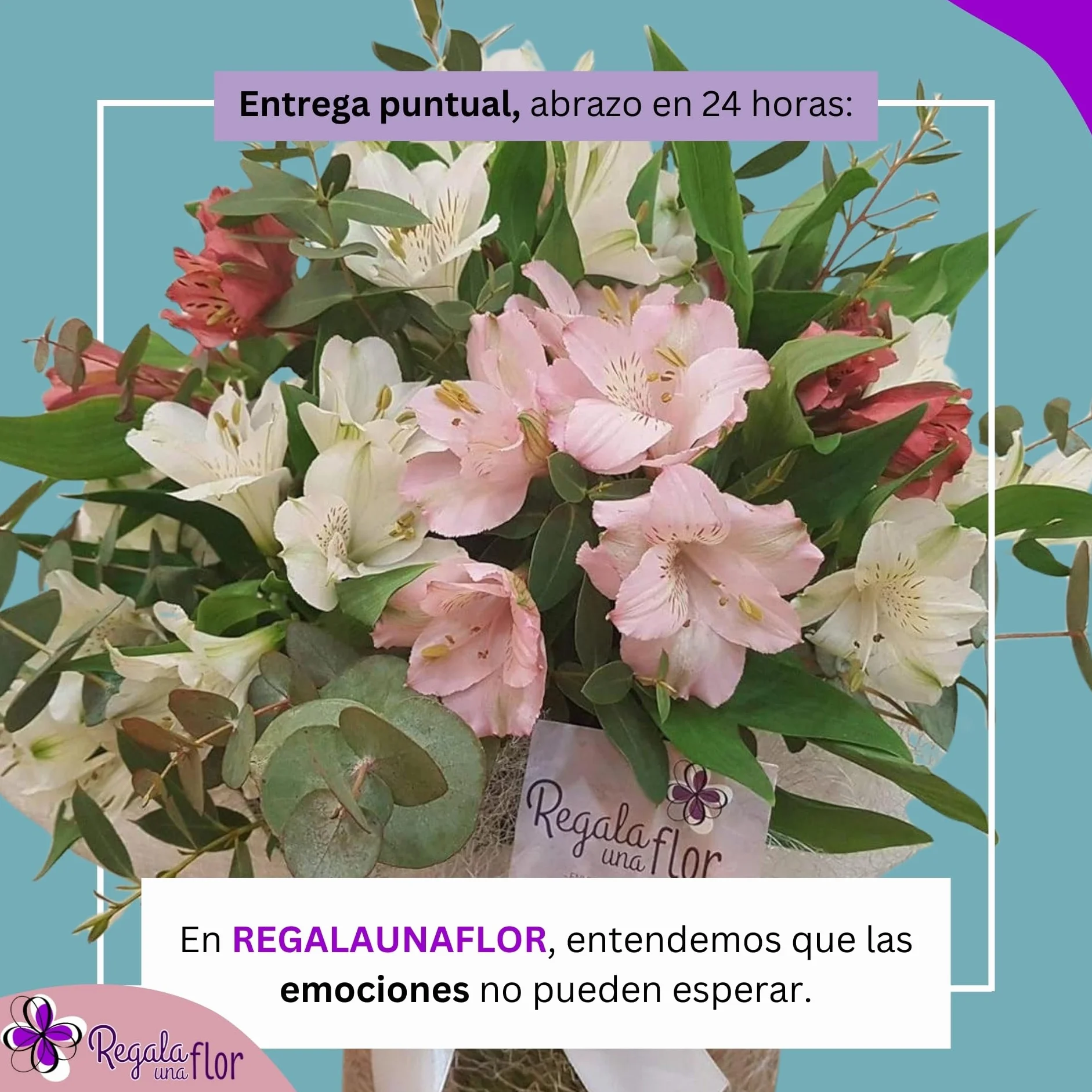 Alstroemeria variada Ramo de flores naturales a domicilio Entrega 24 horas
