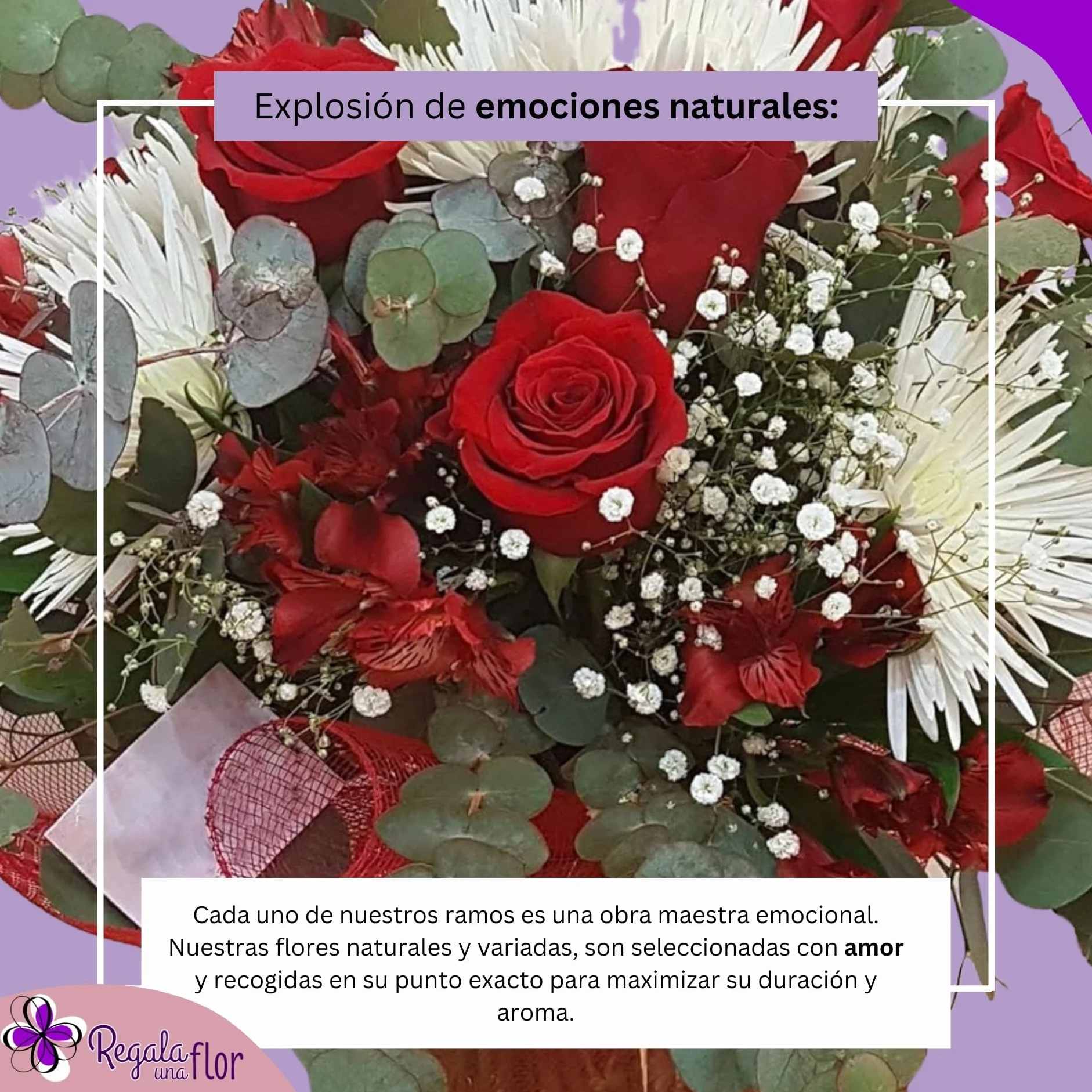 Ramo de flores naturales a domicilio con tarjeta de dedicatoria - Entrega 24 horas