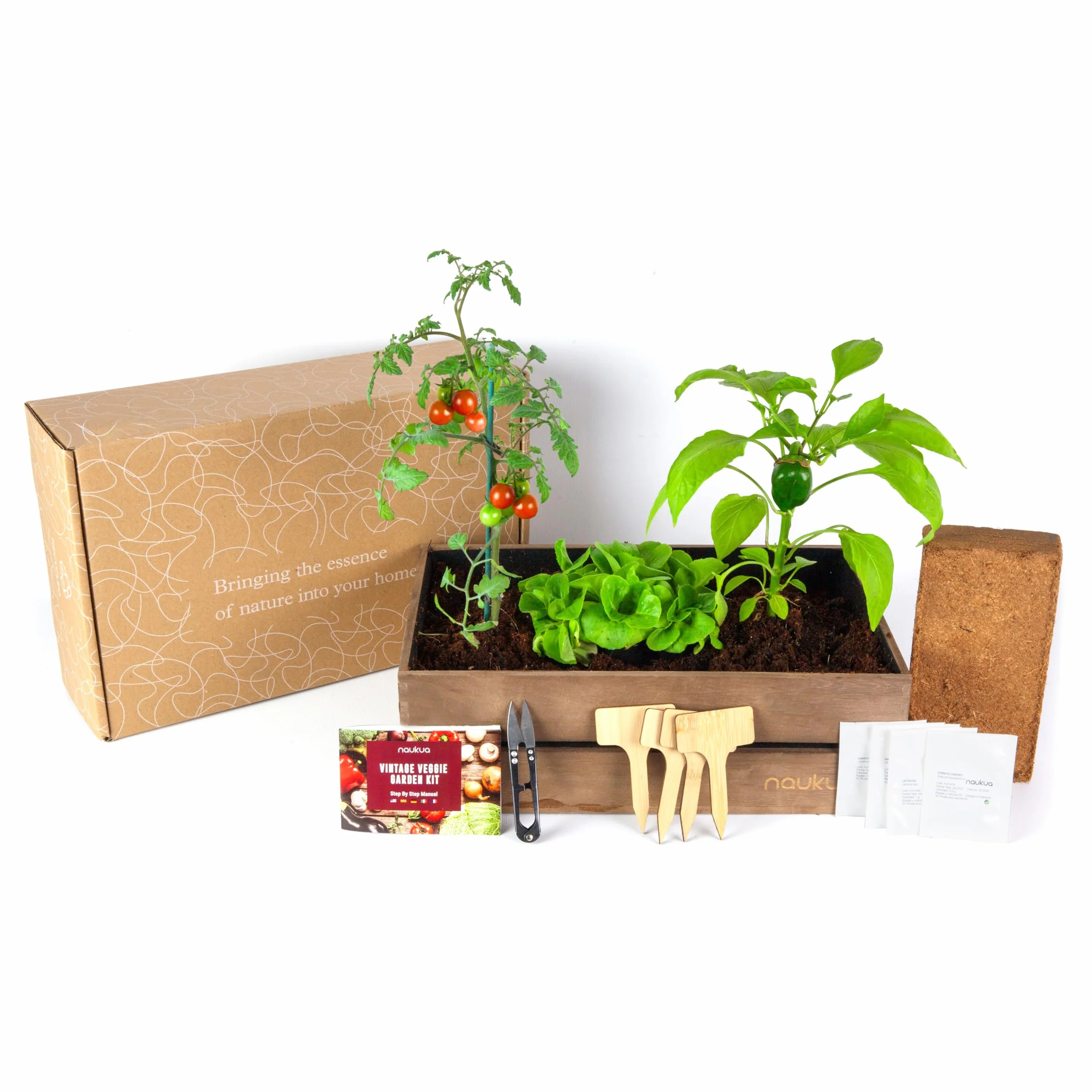 Mini Huerto Urbano Vintage Semillas Orgánicas España Kit Completo Lechuga Rábanos Pimientos Verdes Tomates Cherry