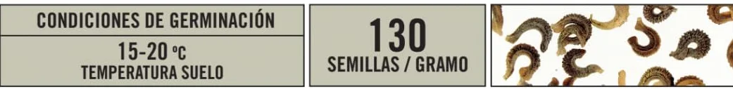 Semillas Batlle Caléndula semi alta doble variada