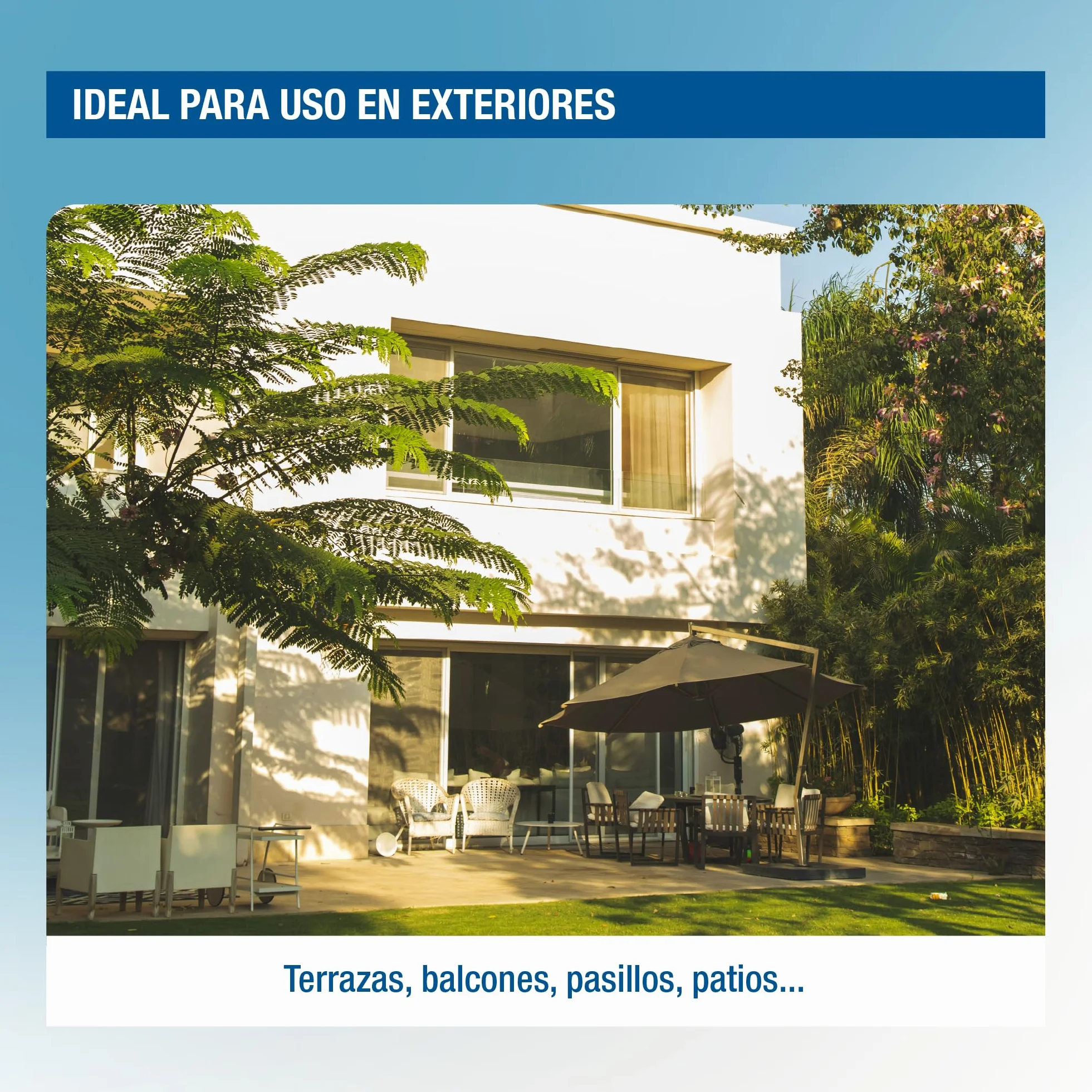 PROTECT HOME Cebo Antihormigas granulado, Elimina Hormigas Exteriores