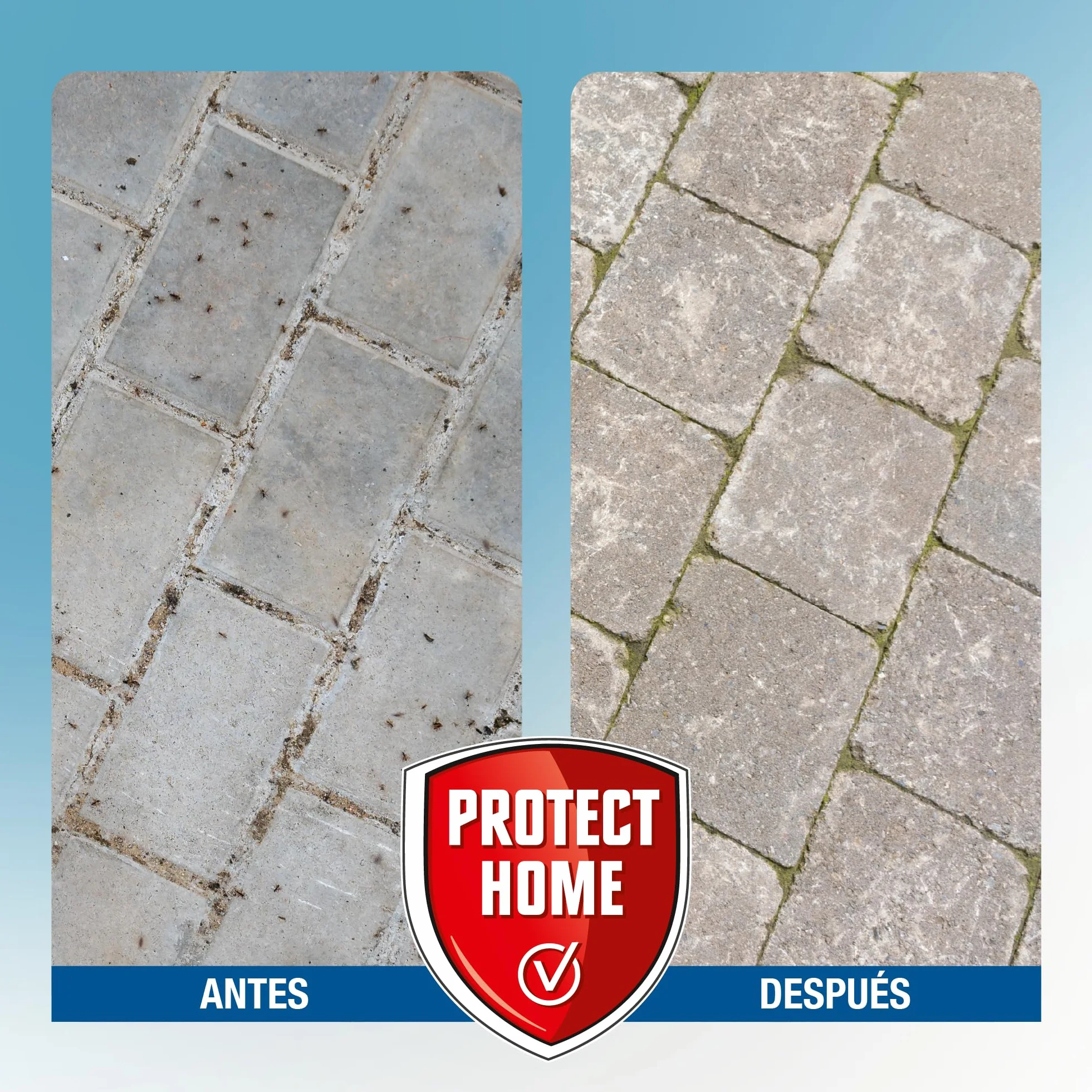 PROTECT HOME Cebo Antihormigas granulado, Elimina Hormigas Exteriores
