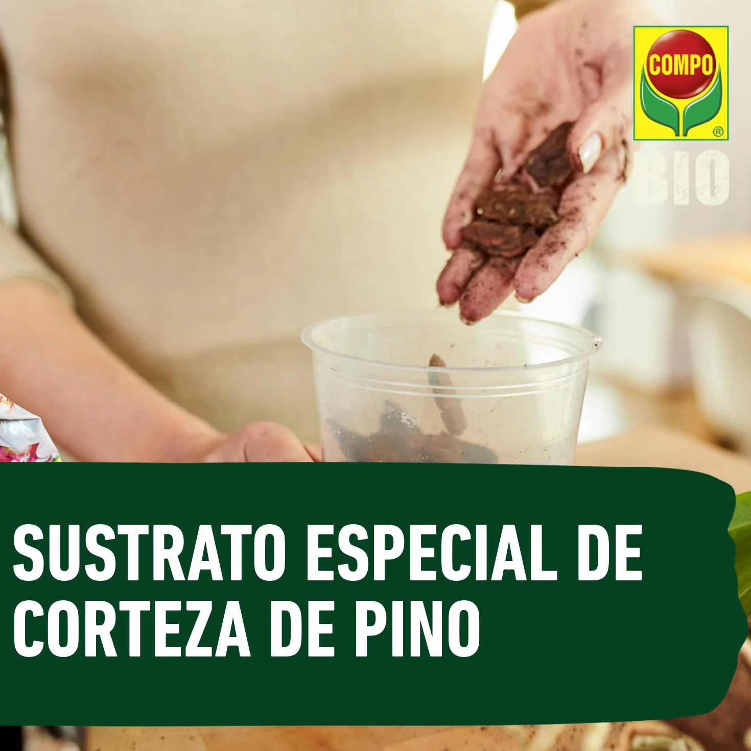 Compo Sana Substrato de orquídeas con abono 8 semanas, Corteza de Pino, 5 L