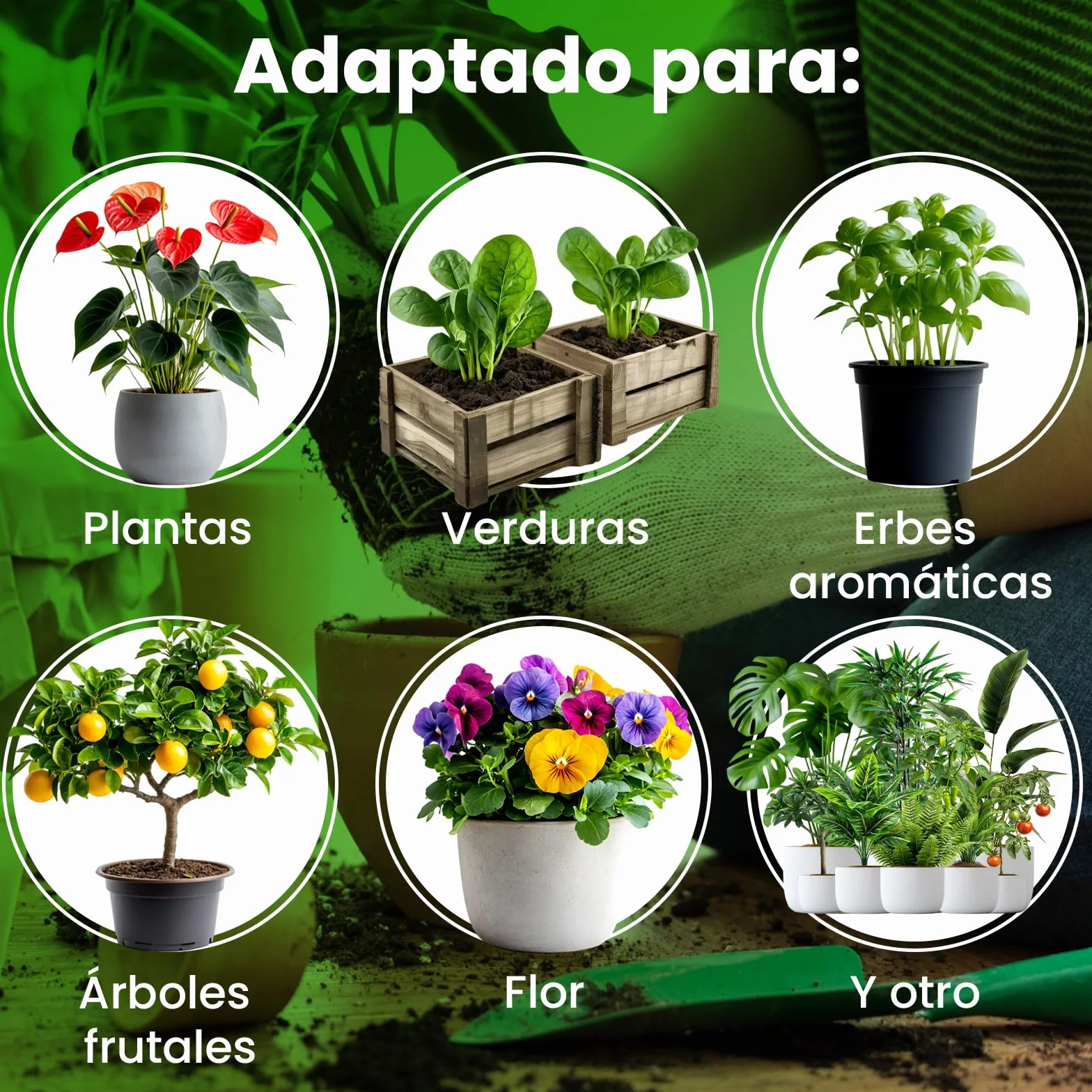 LERAVA Micorrizas en Polvo (50 g) - Hongos Micorrícicos Naturales - Favorece el Enraizamiento de Esquejes y Orquídeas - Abono Orgánico Soluble para Plantas