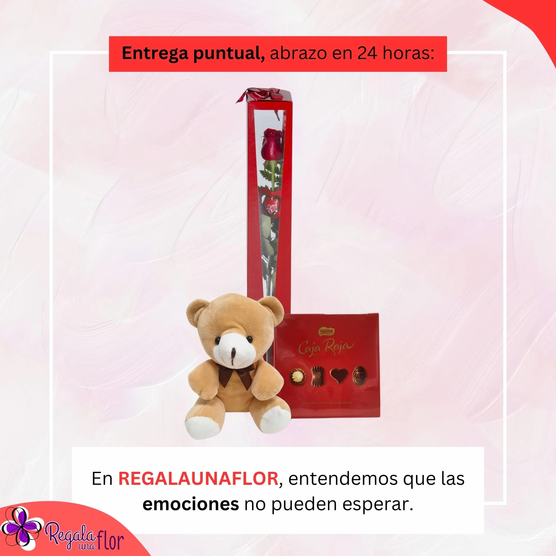 Regalo Una Flor Rosas Naturales a Domicilio Pack Deluxe