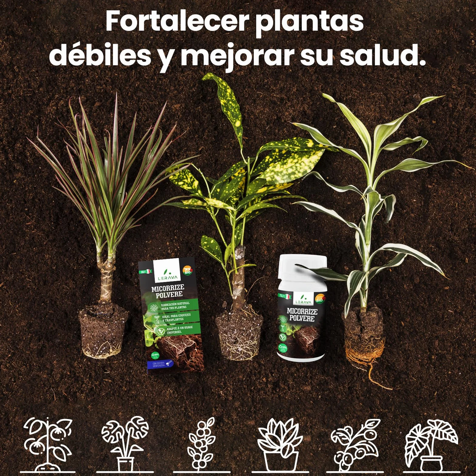 LERAVA Micorrizas en Polvo (50 g) - Hongos Micorrícicos Naturales - Favorece el Enraizamiento de Esquejes y Orquídeas - Abono Orgánico Soluble para Plantas