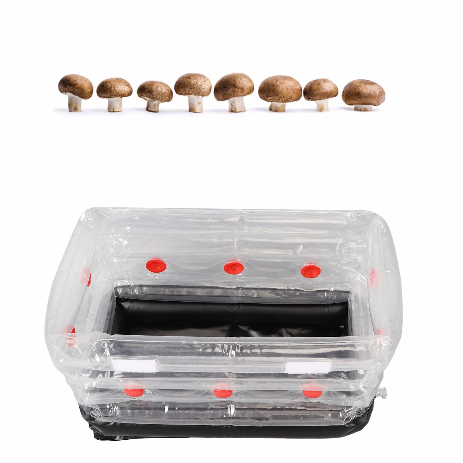 Fabater Kit de Monotub de Hongos Inflable con Bomba para Cultivo en Casa