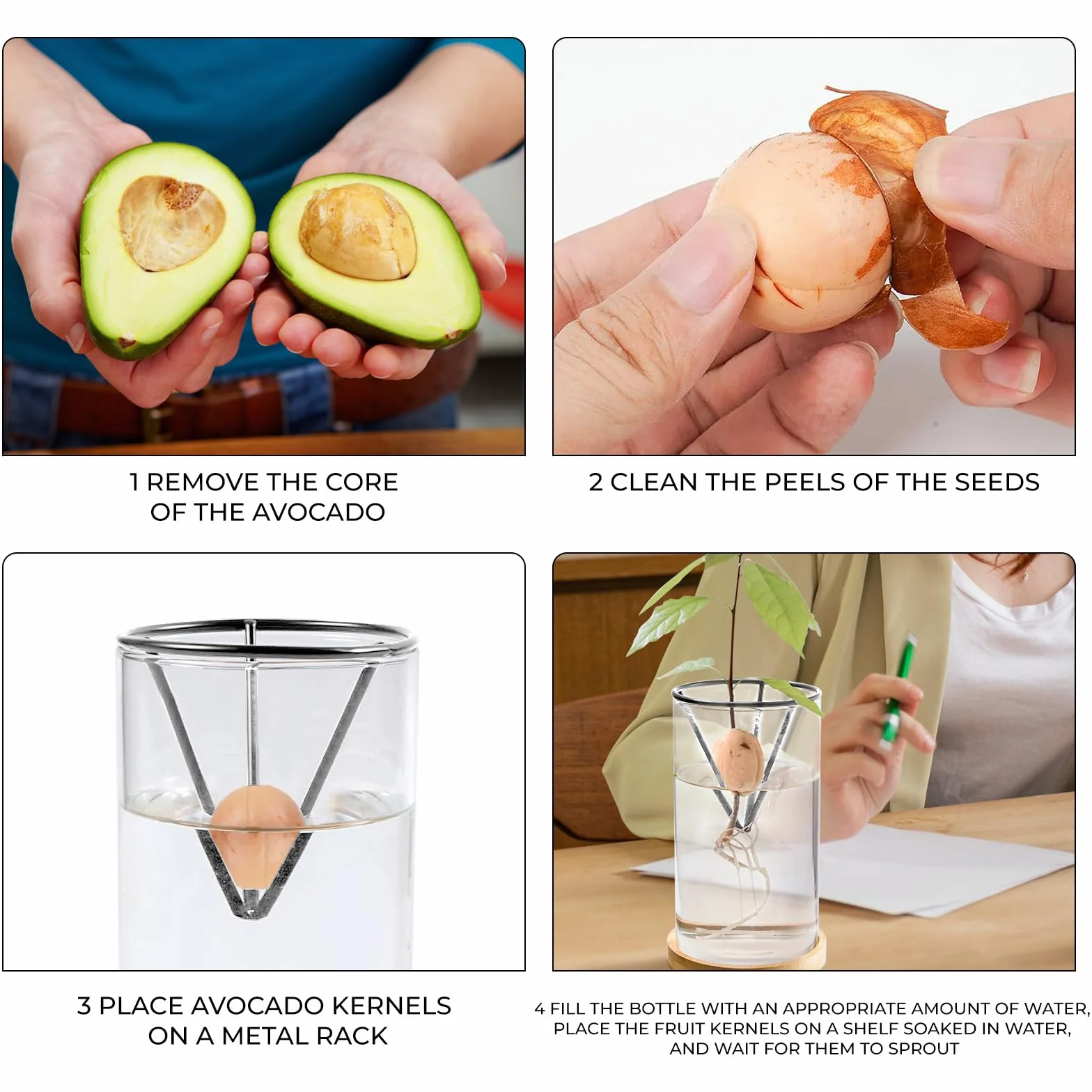 Kit de germinación de plantas de aguacate, jarrón de cultivo con base de madera, maceta de vidrio