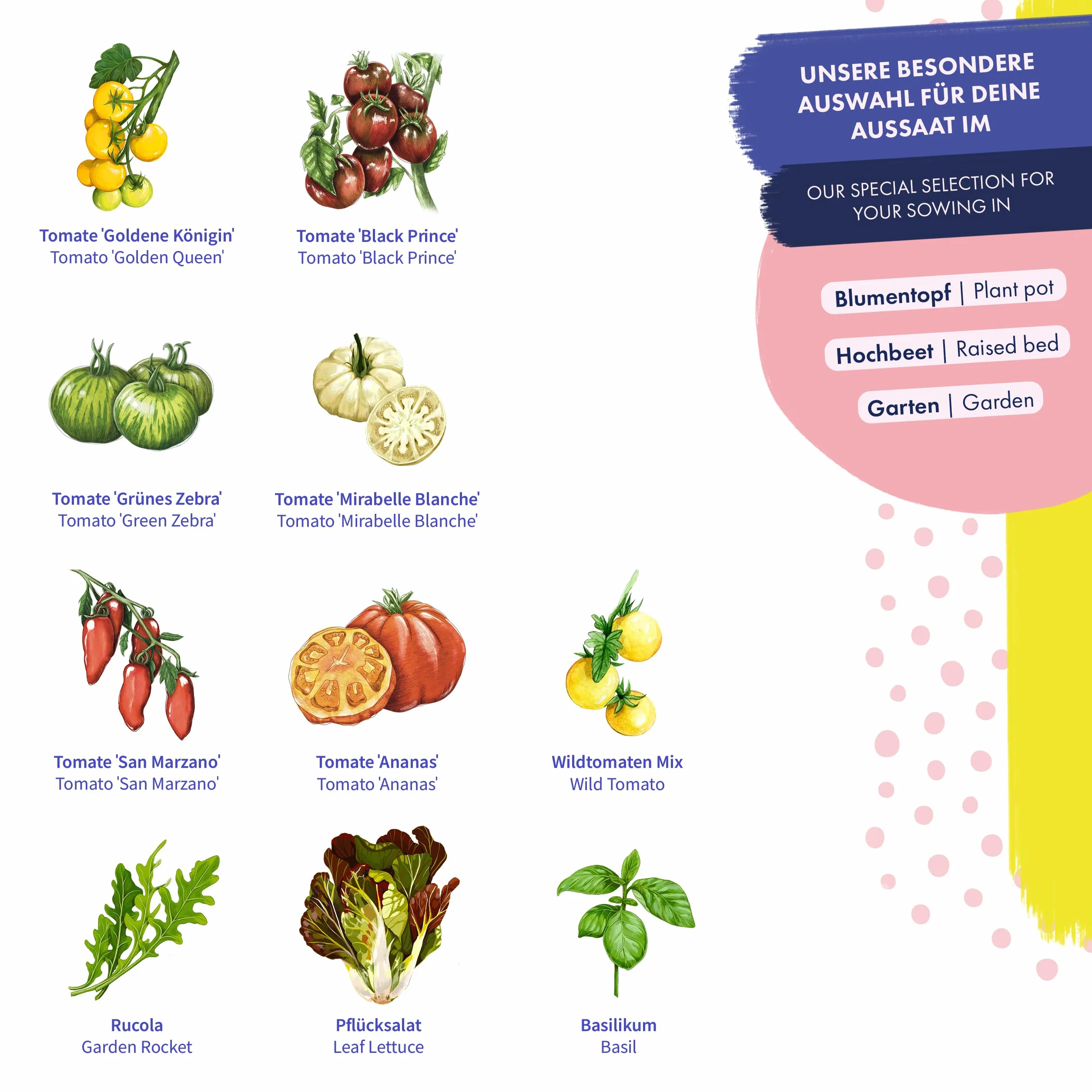 Tomates & Compañeros - 10 variedades de tomates y hierbas de polinización abierta - Kit de semillas para principiantes