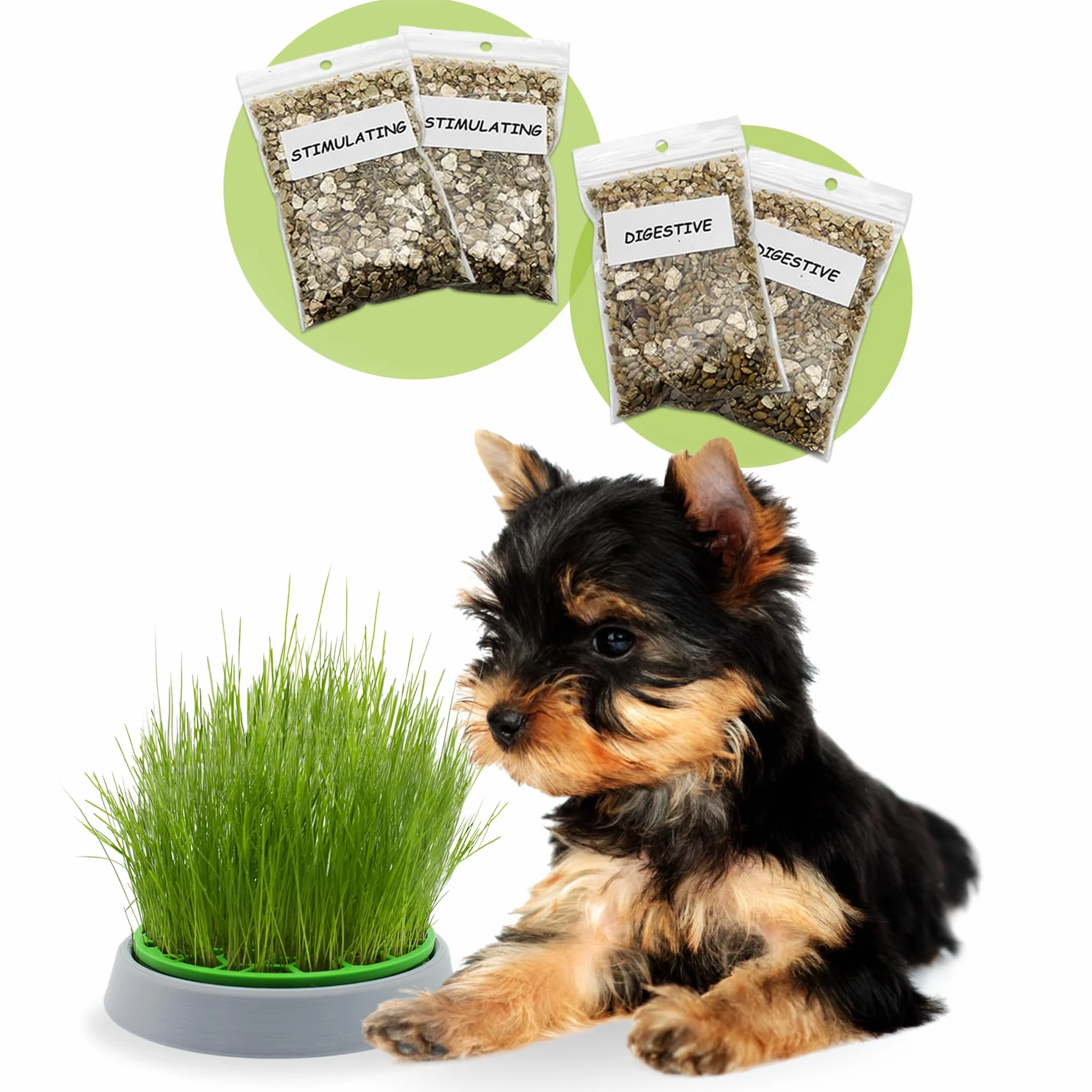 Double Seeds Kit Hierba para Perros Maceta Germinadora 2 Tipos Estimulante Digestiva 4 Sobres Semillas Sustrato