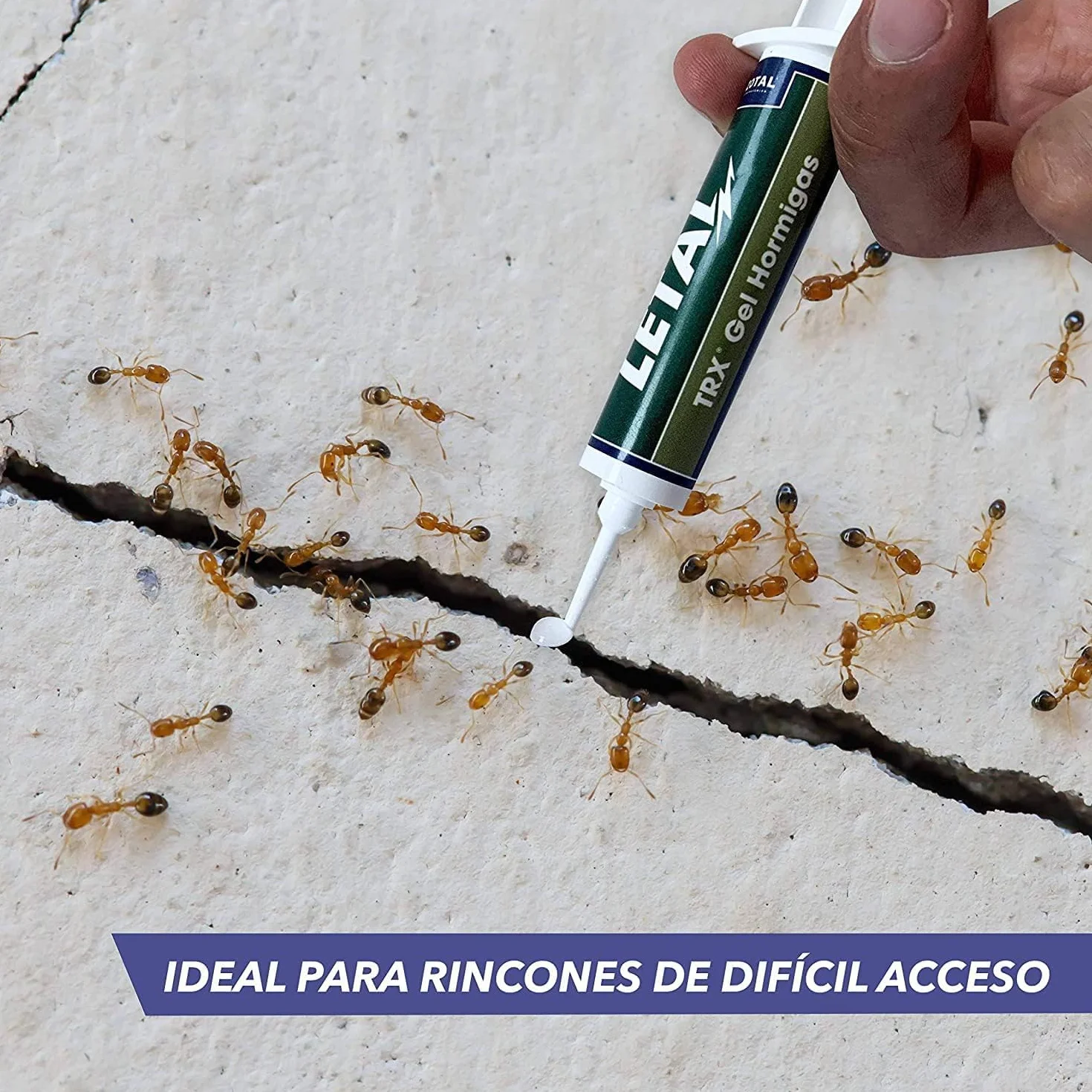 ZOTAL Gel Anti Hormigas Pack 2 Unidades Insecticida en Jeringuilla Efecto Retardado