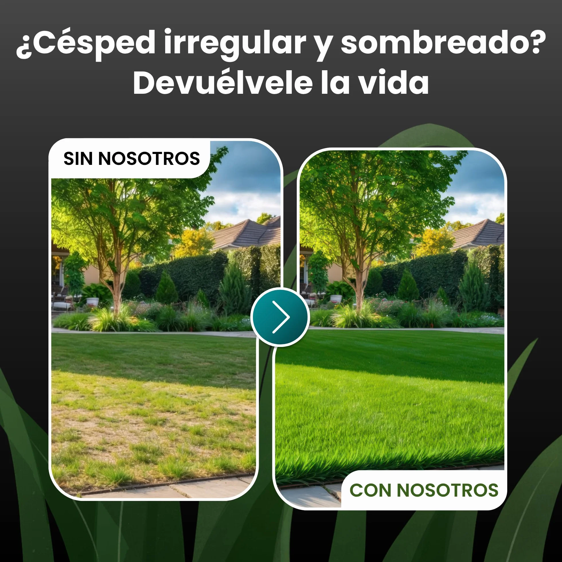 LERAVA TURBO Semillas de césped de germinación rápida 10 m² - brotación en 4-10 días - verde brillante