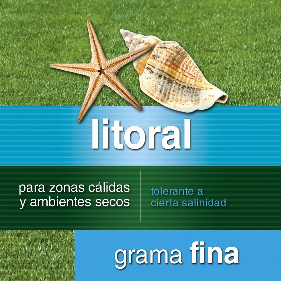 Semillas Césped Litoral Grama Fina 1kg Tolerante a Salinidad Cubre 35m2