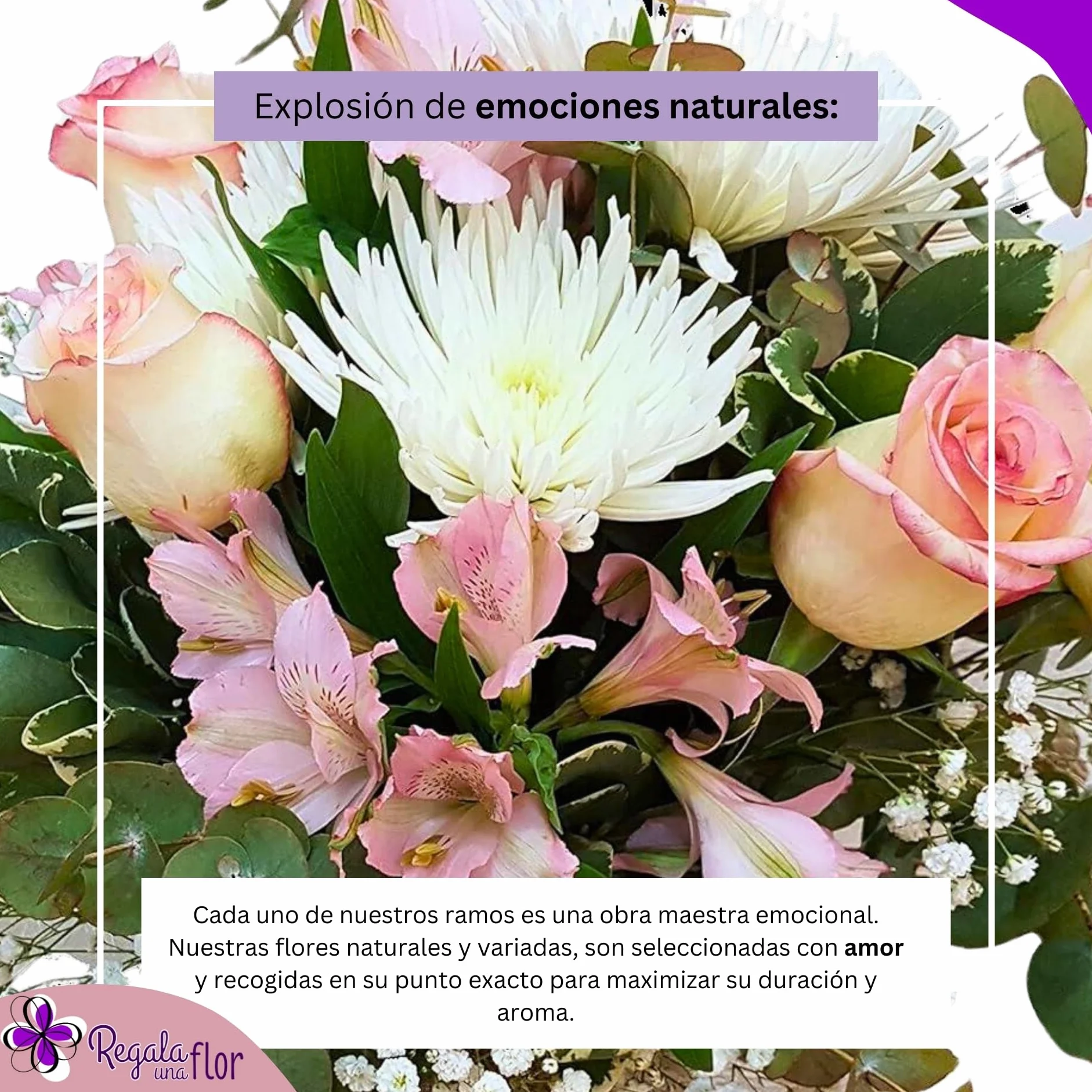 Ramo de flores naturales a domicilio con tarjeta de dedicatoria Armonía