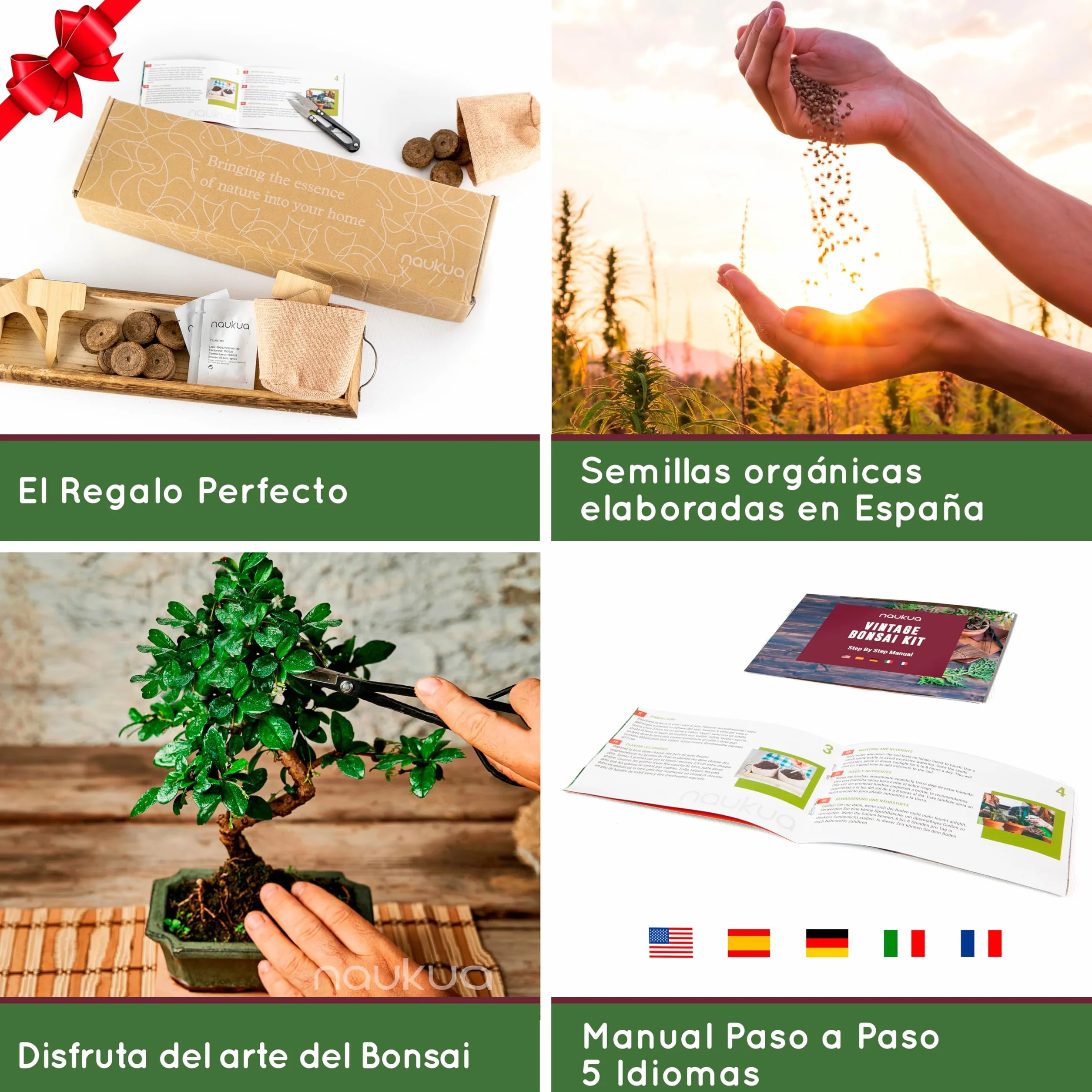 Kit Vintage Bonsai 4x Especies Semillas Orgánicas Guía Completa Plantación