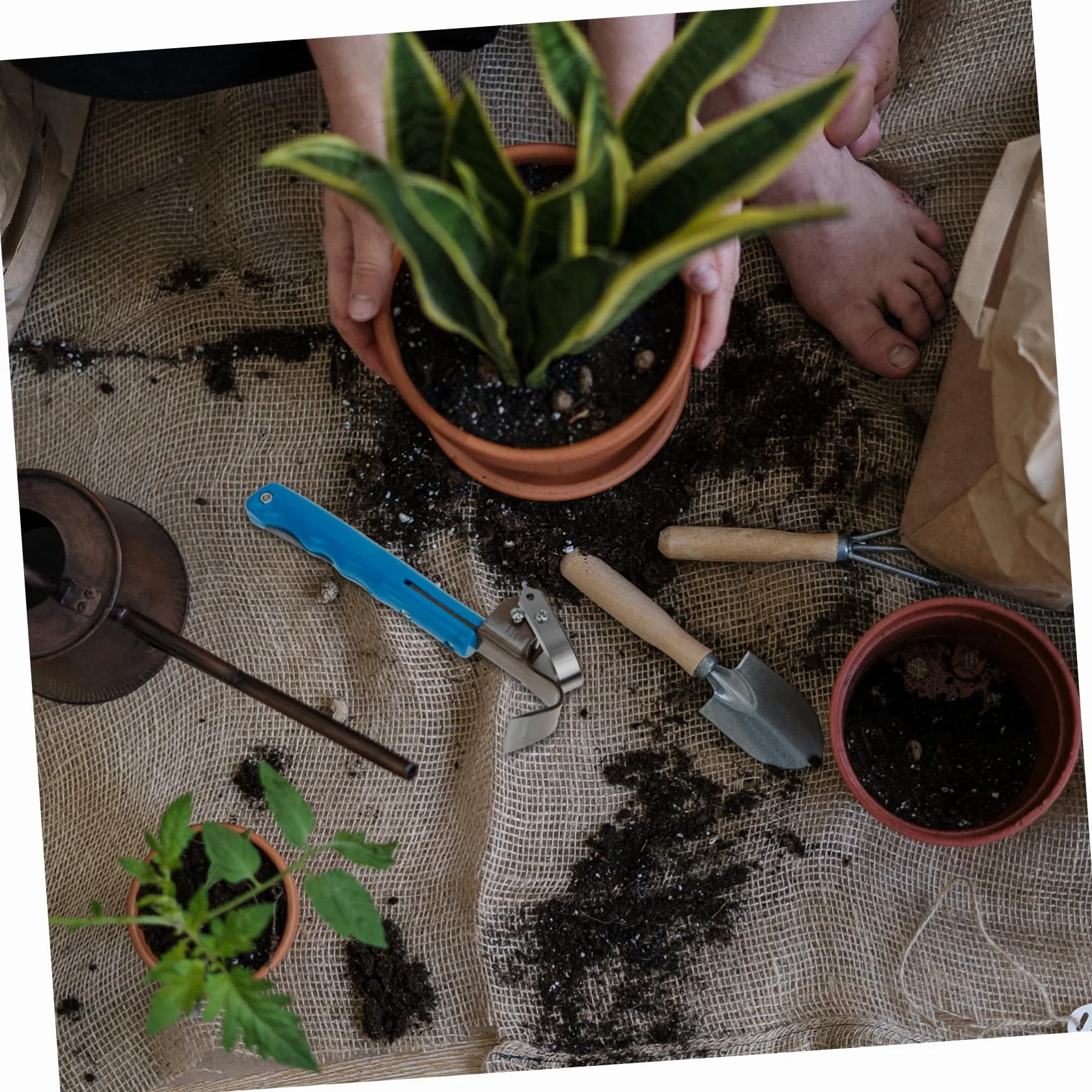 BESPORTBLE Raspador de Herramienta para Descortezar Jardín Cortador para Troncos Medianos de Roble Superficie Pulida Bordes Lisos sin Rebabas Fácil de Usar para Jardinería