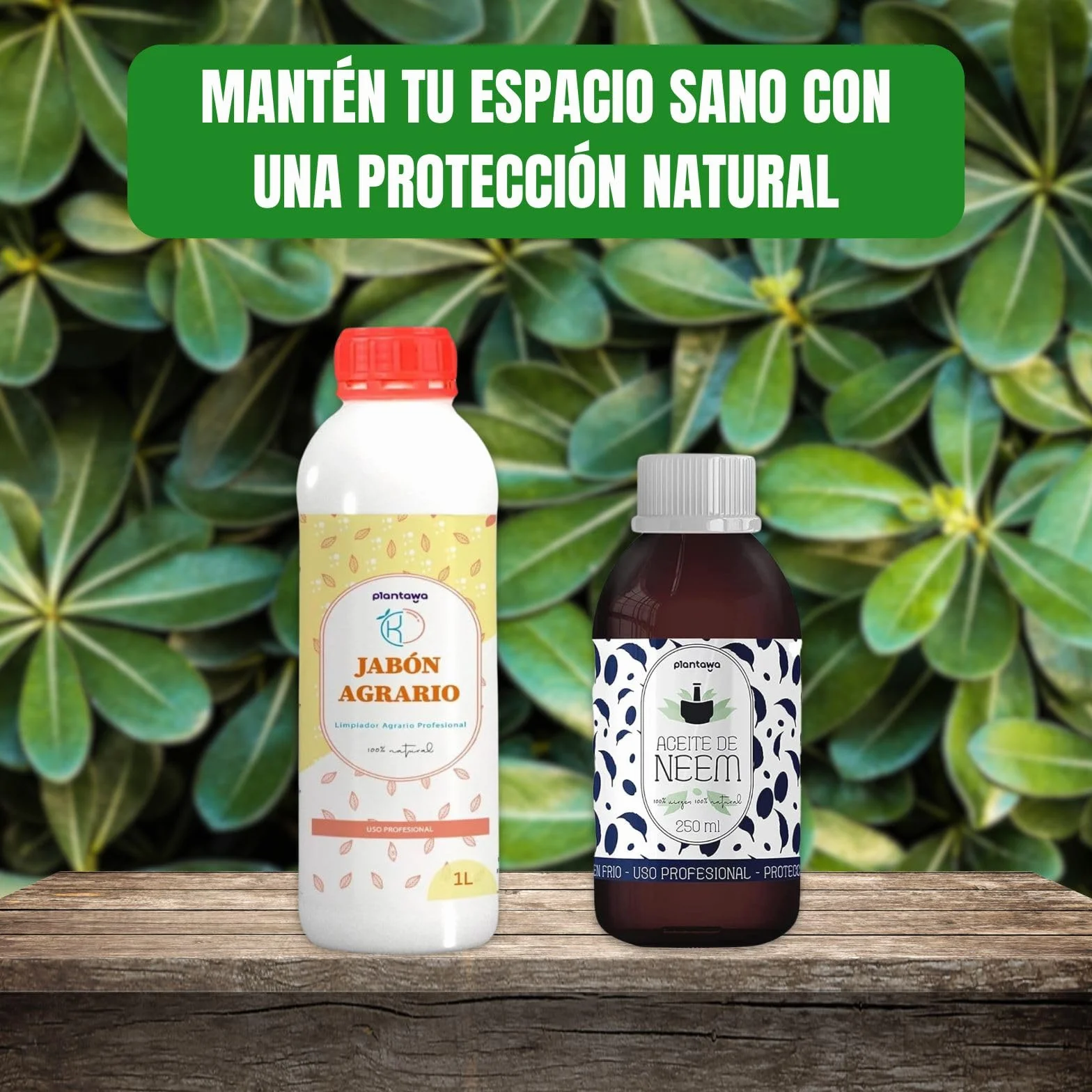 PLANTAWA Jabón Potásico 1L + Aceite de Neem 250ml Solución Multiusos