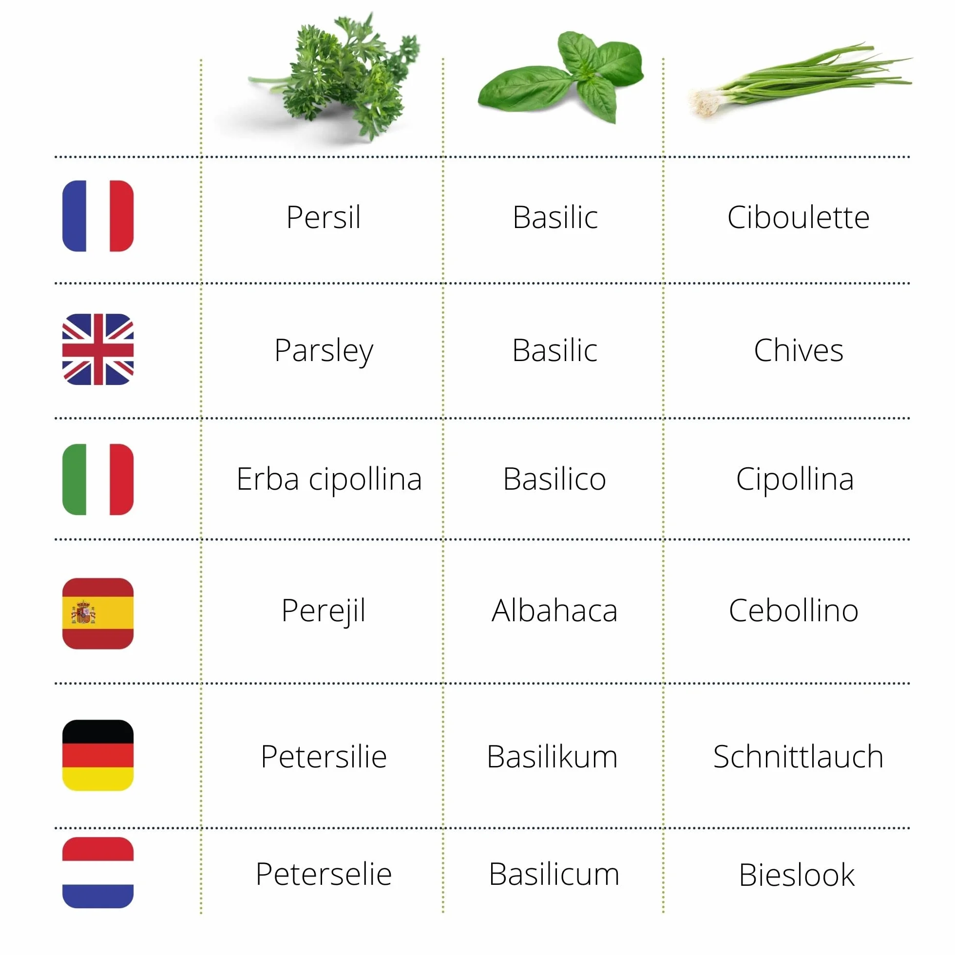 Cultivea® Kit cultivo hierbas aromáticas BIO Albahaca Perejil Cebollino Huerto urbano interior tarros cristal tierra