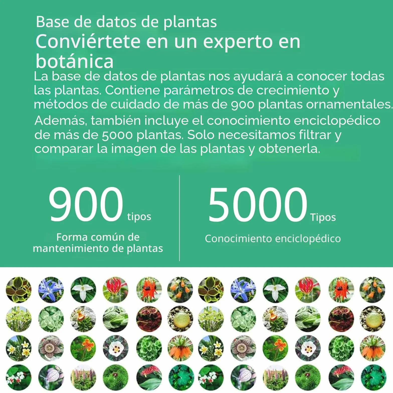 Medidor Humedad Plantas 4 en 1, Higrómetro Digital Inteligente con Monitoreo Humedad/Luz/Fertilidad/Temperatura, Compatible con Mijia APP