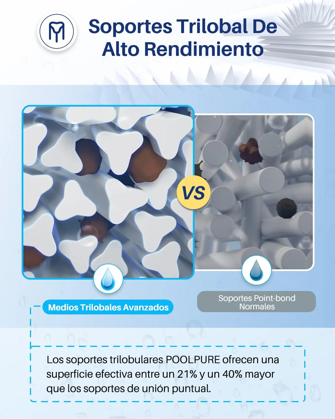 POOLPURE Filtro Tipo Vi Cartucho Piscina Lote de 6 Coleman SaluSpa 90352E