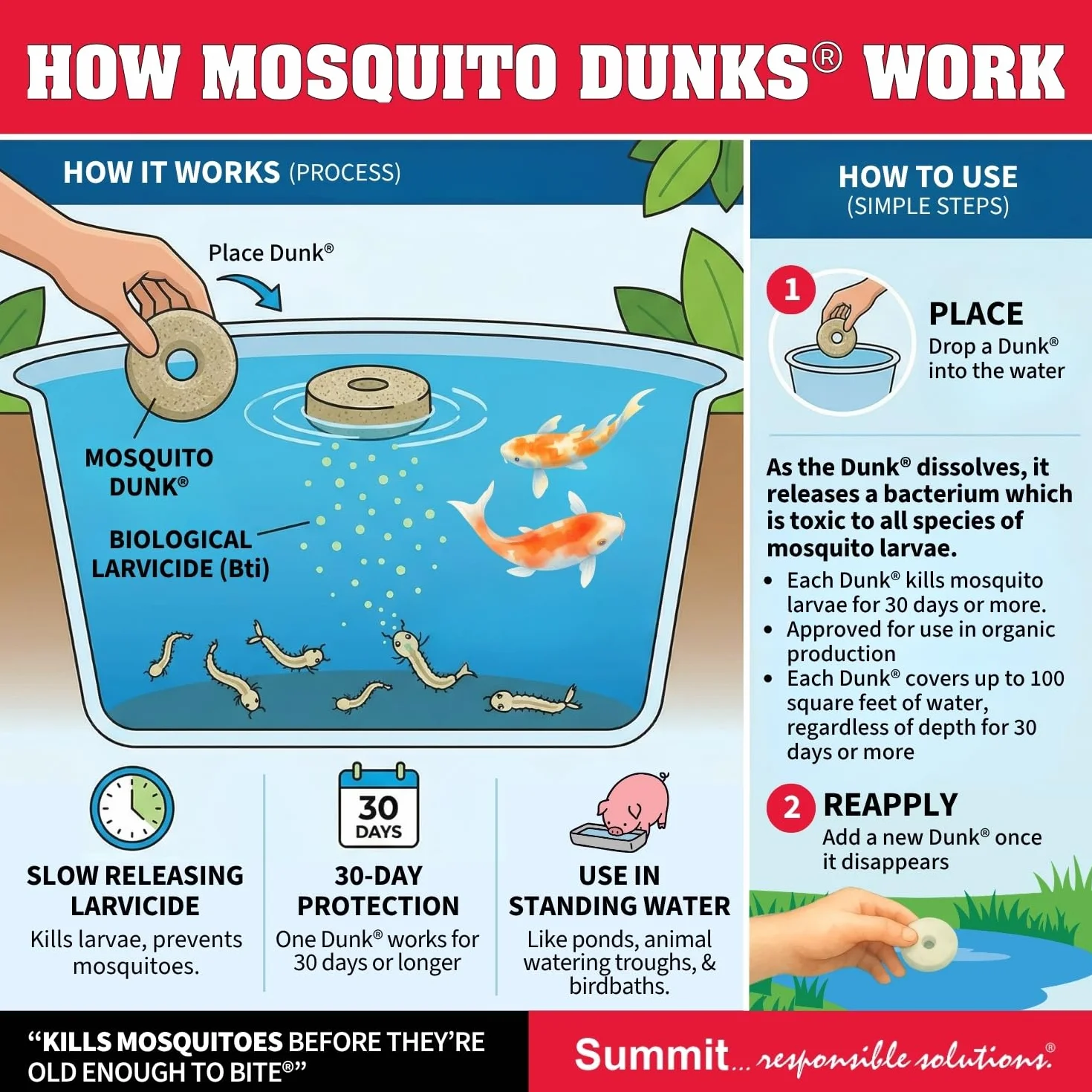 Summit Matamosquitos Mosquito Dunks 102 – 12