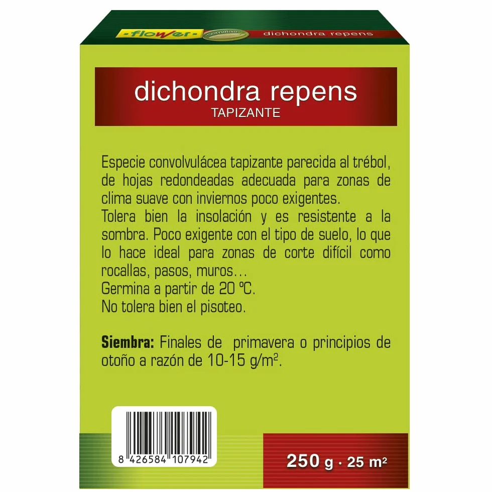 Semillas Dichondra Repens 250 gr Resistente al Sol y Sombra Ideal para 25 m2 Bajo Mantenimiento
